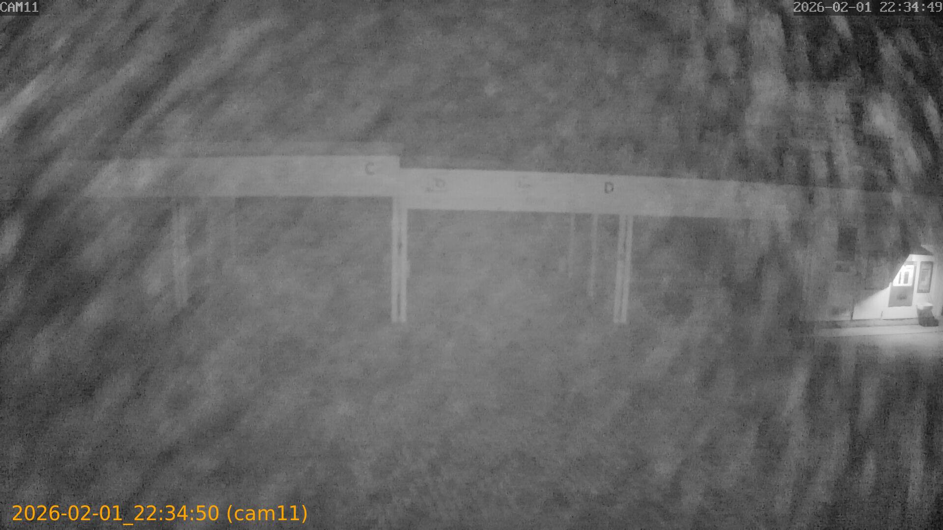 thumbnail_20260201223450