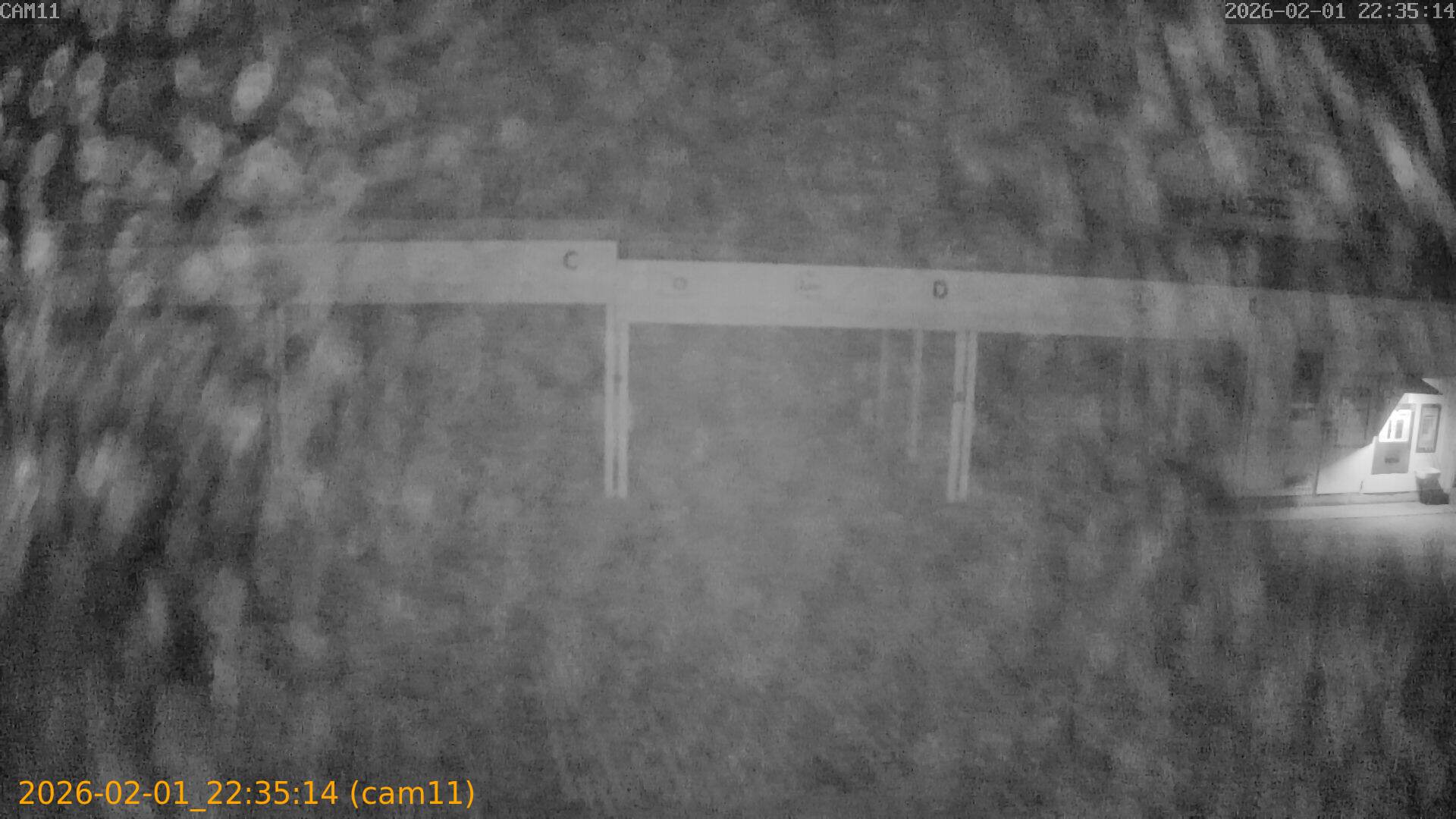 thumbnail_20260201223514