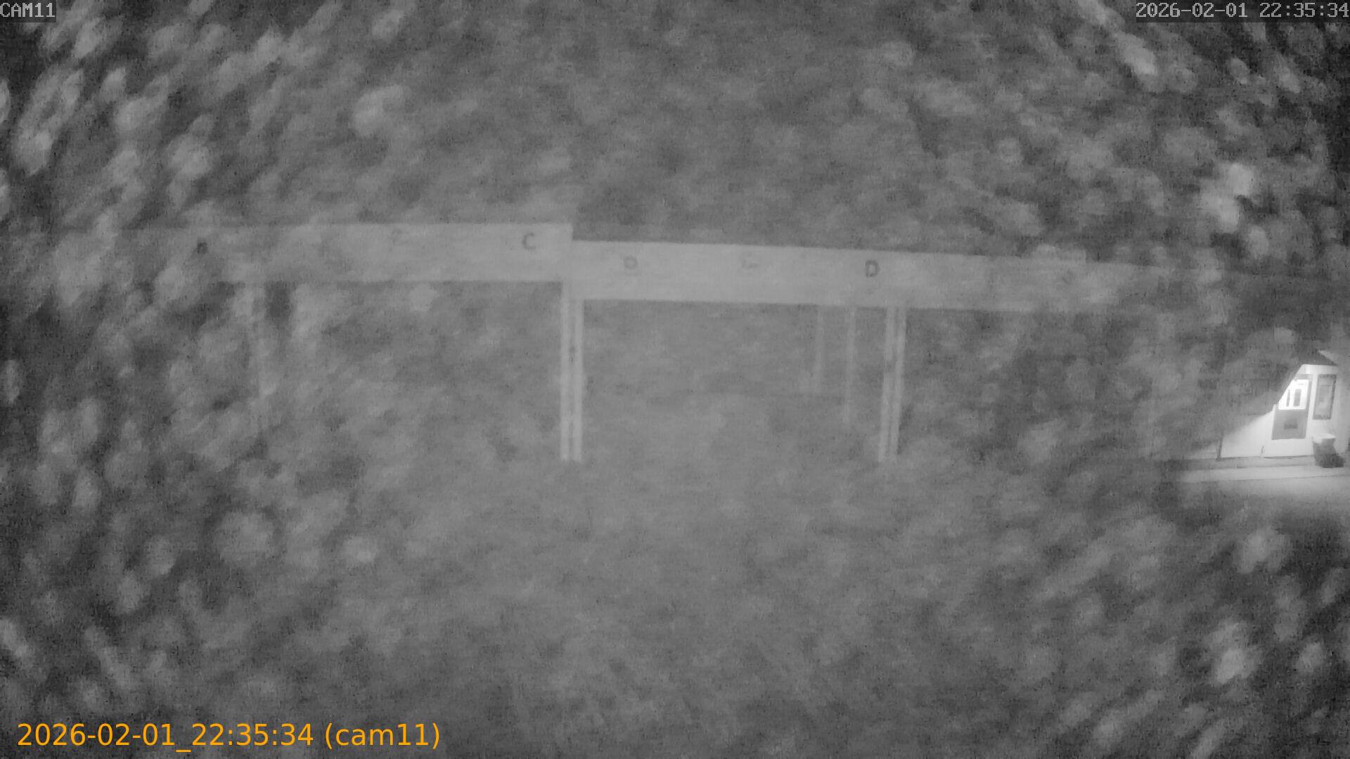 thumbnail_20260201223534