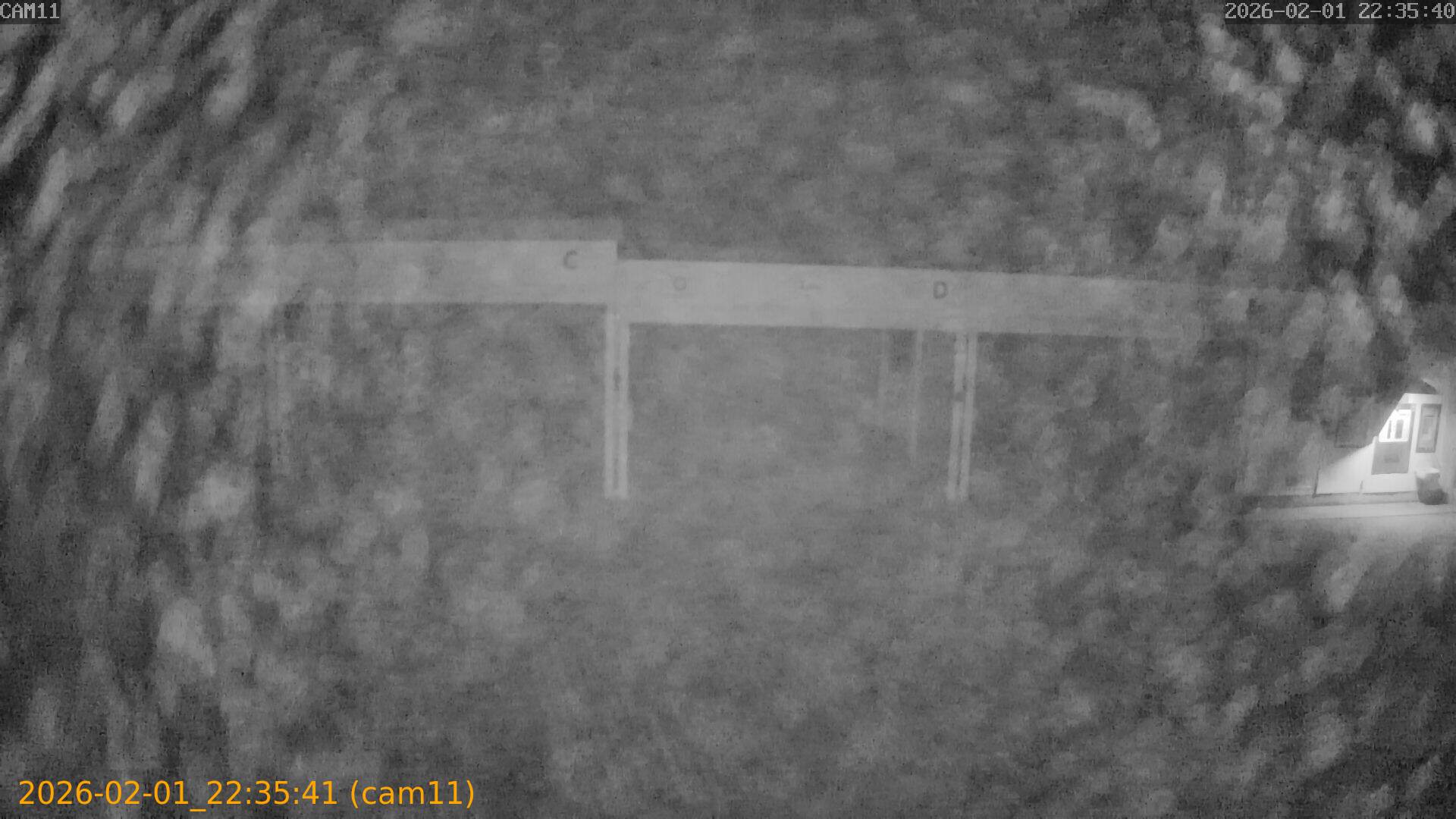 thumbnail_20260201223541