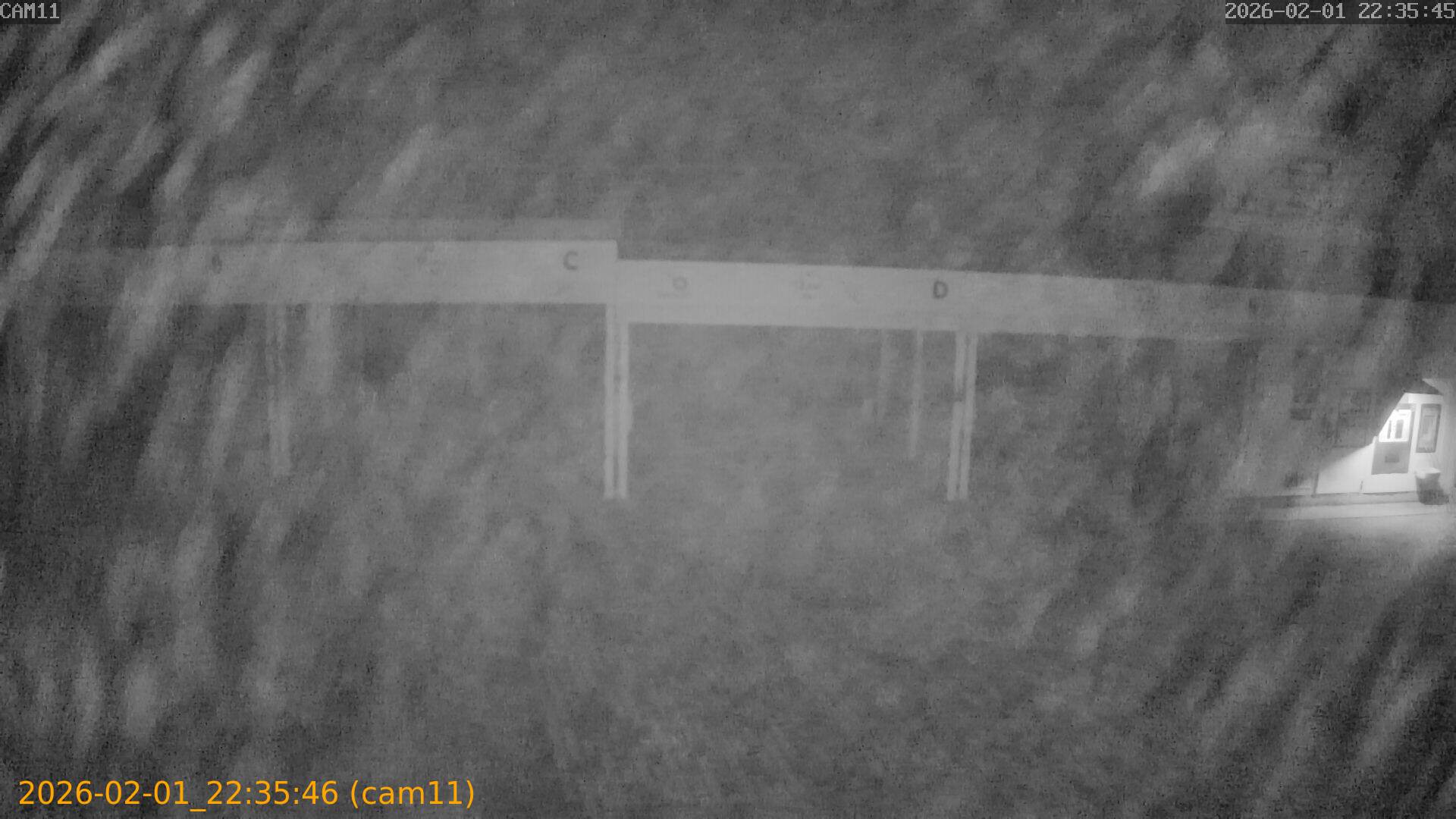 thumbnail_20260201223546