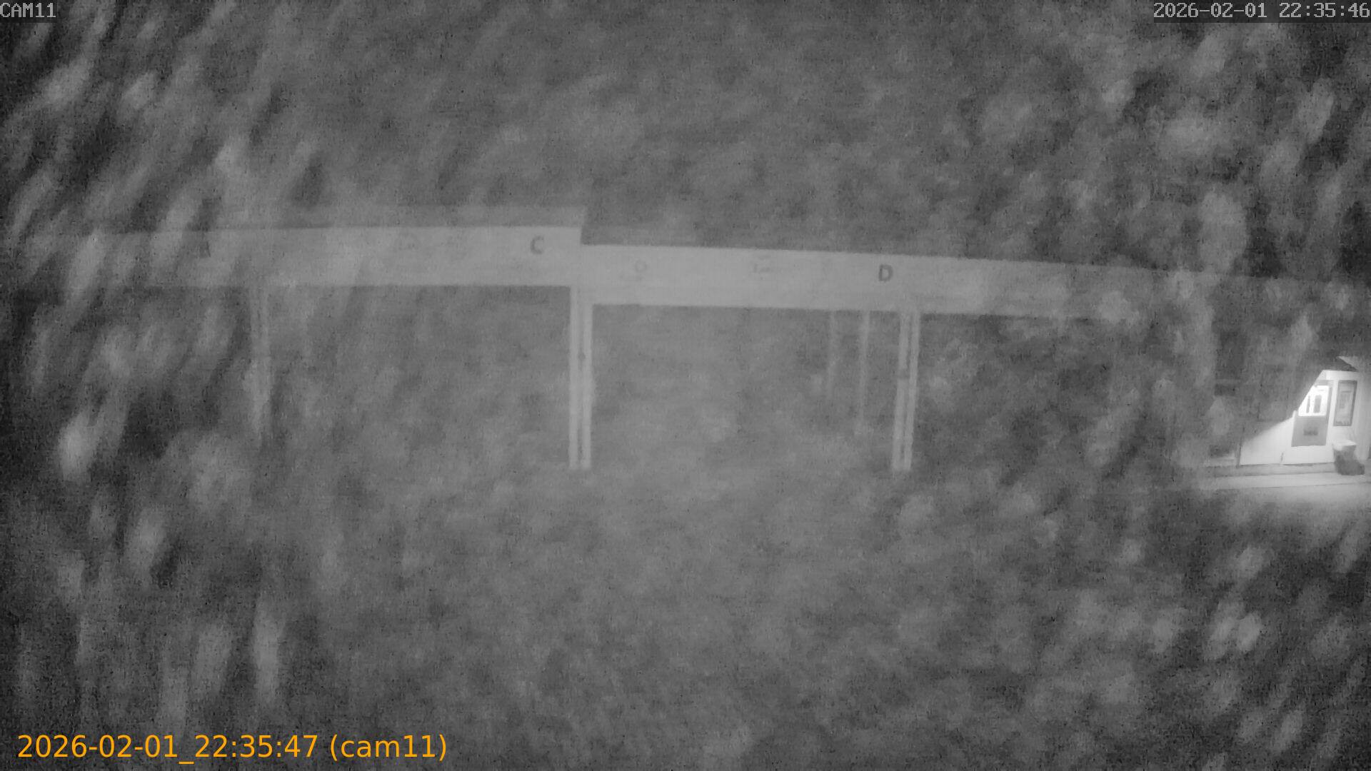 thumbnail_20260201223547