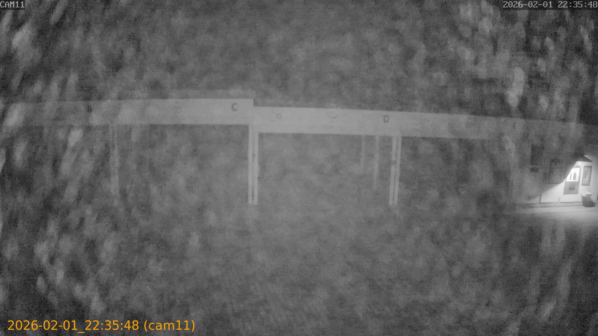 thumbnail_20260201223548