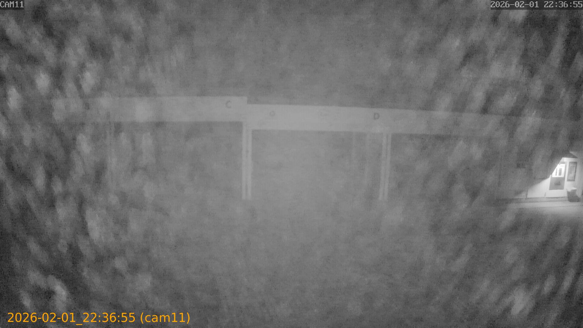 thumbnail_20260201223655