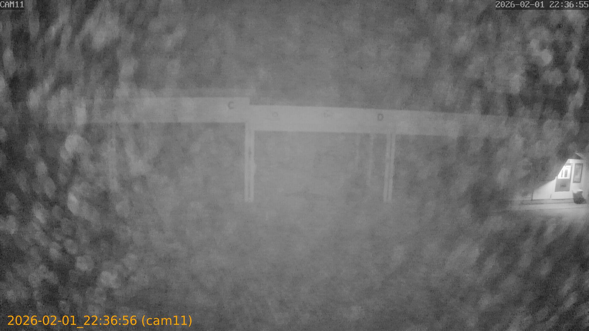 thumbnail_20260201223656