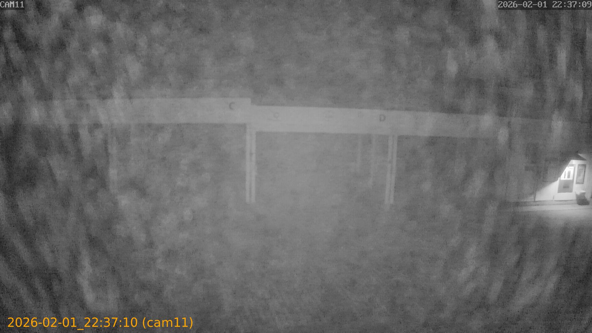 thumbnail_20260201223710