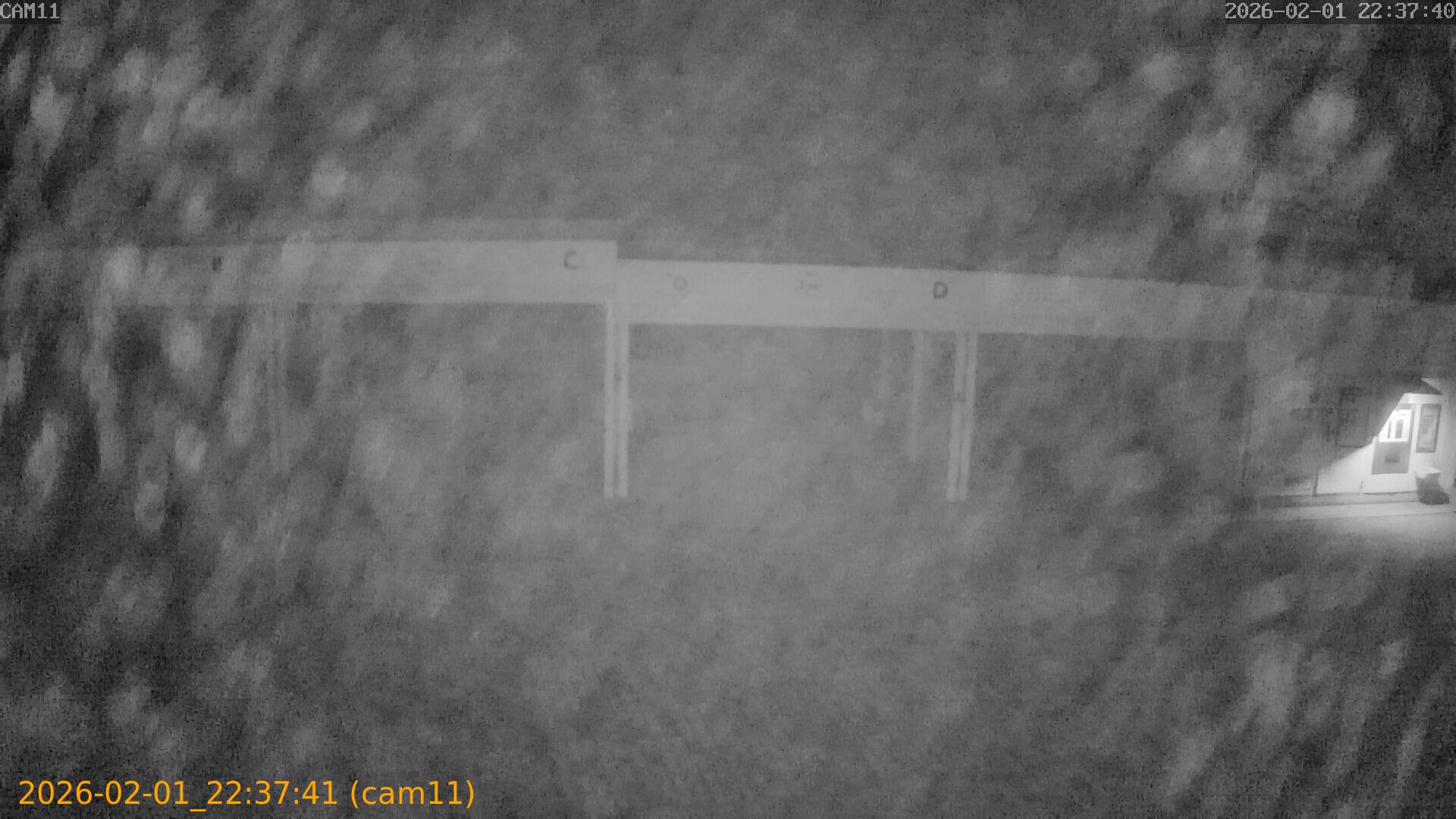 thumbnail_20260201223741