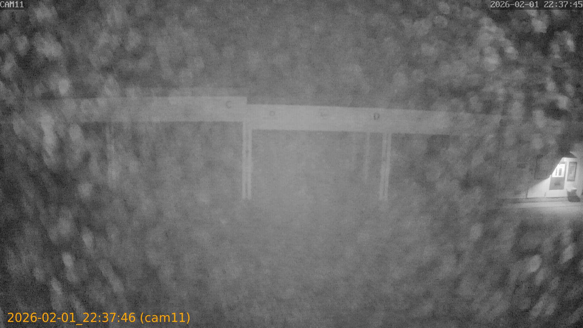 thumbnail_20260201223746