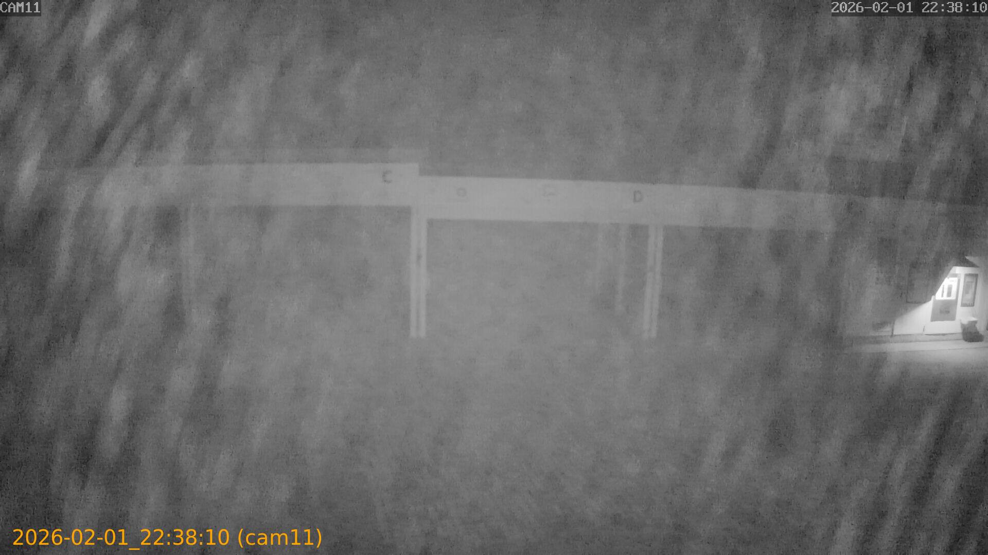 thumbnail_20260201223810