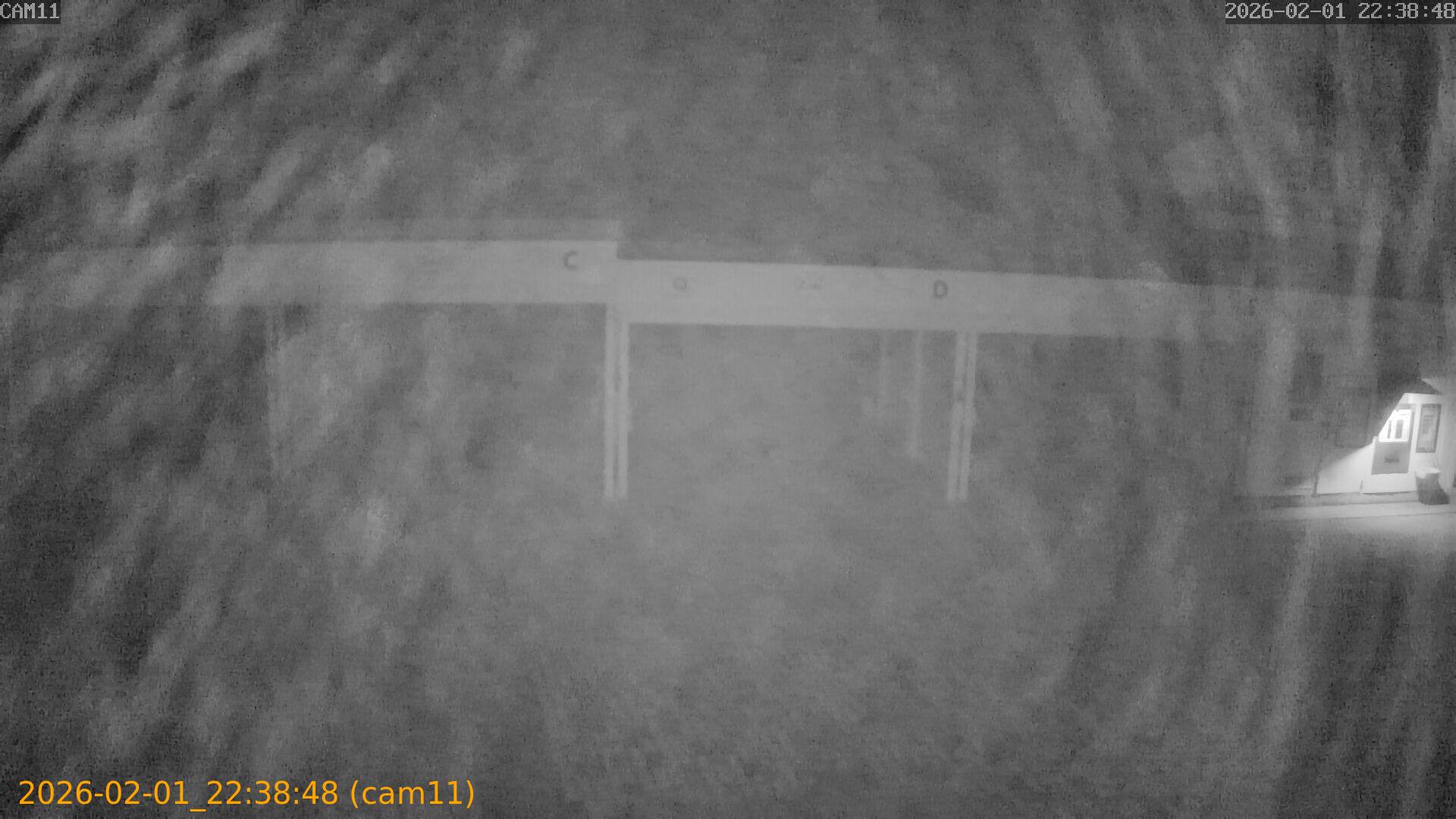 thumbnail_20260201223848