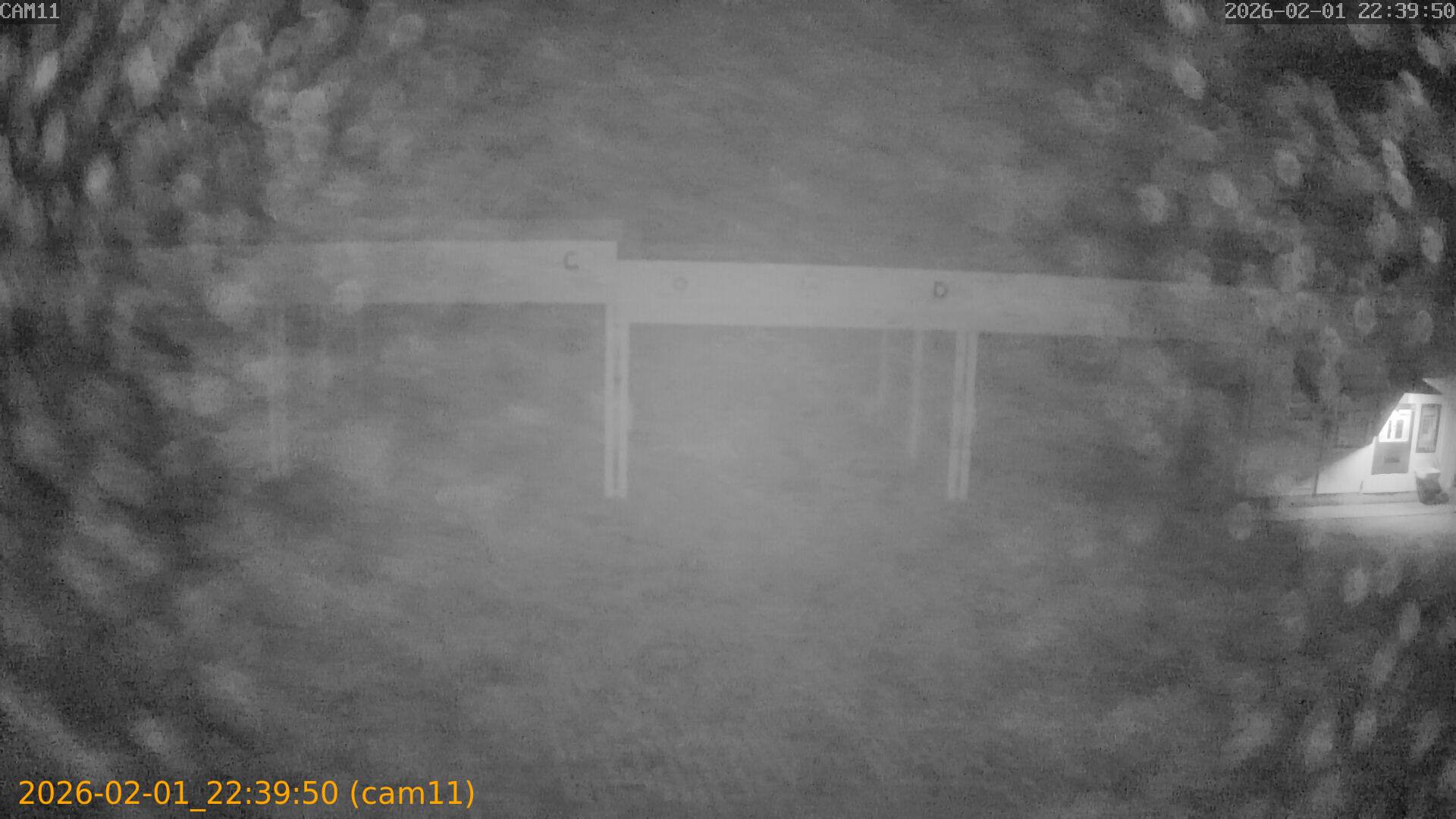 thumbnail_20260201223950