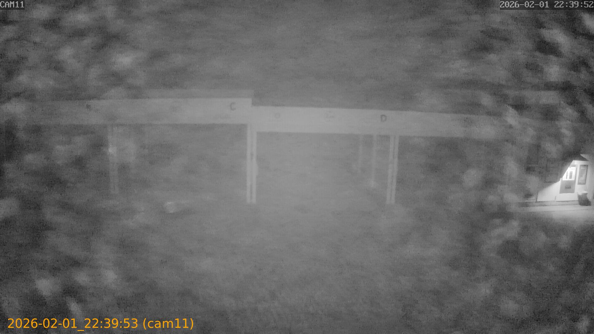 thumbnail_20260201223953