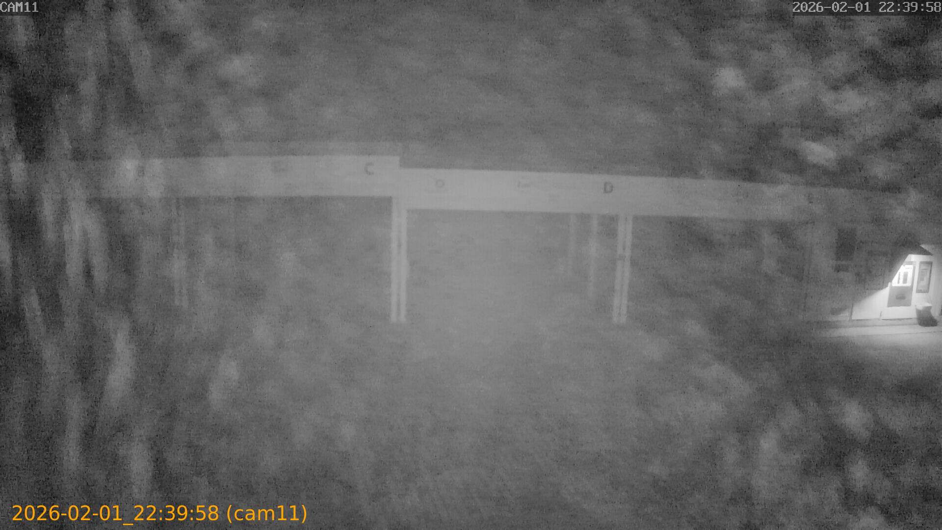 thumbnail_20260201223958