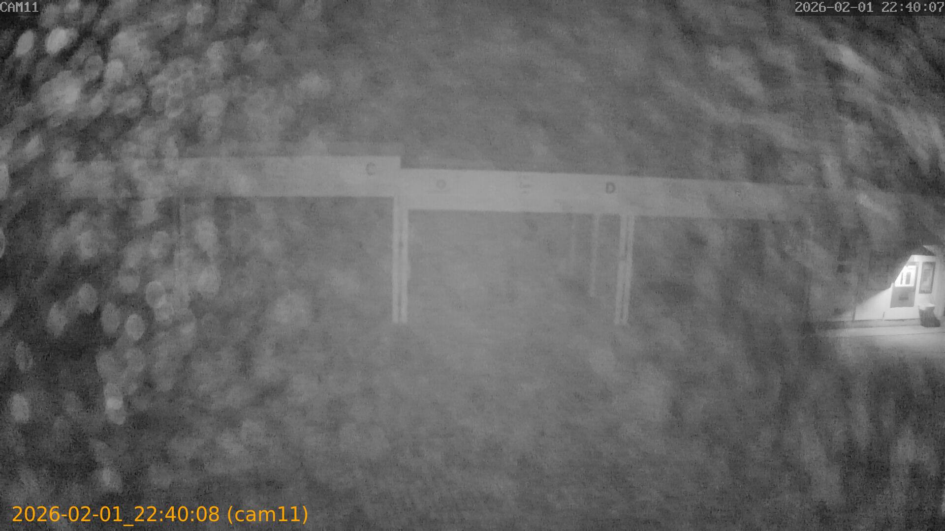 thumbnail_20260201224008