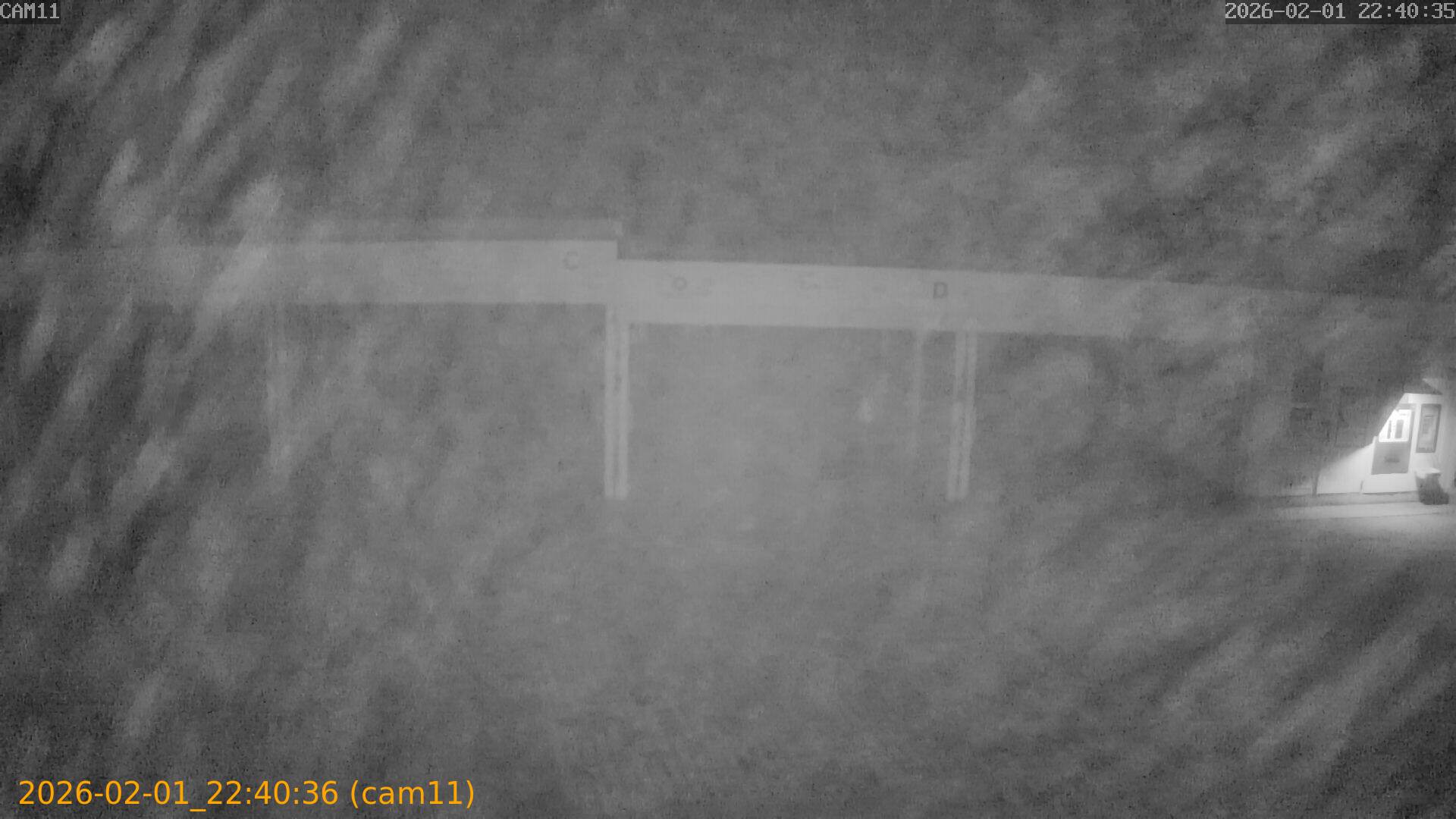 thumbnail_20260201224036