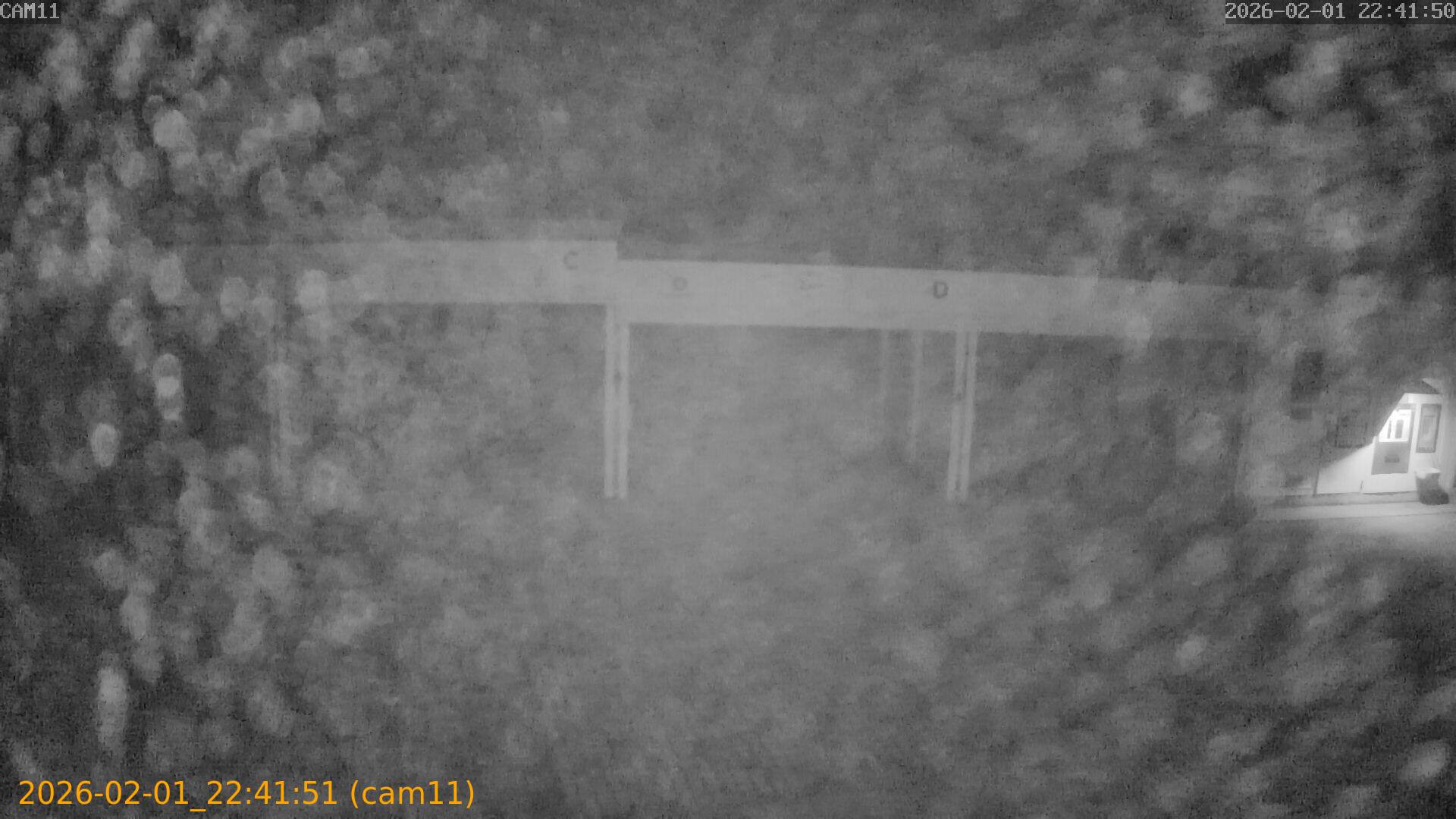 thumbnail_20260201224151