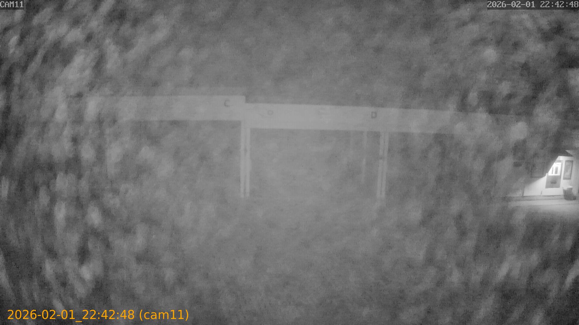 thumbnail_20260201224248