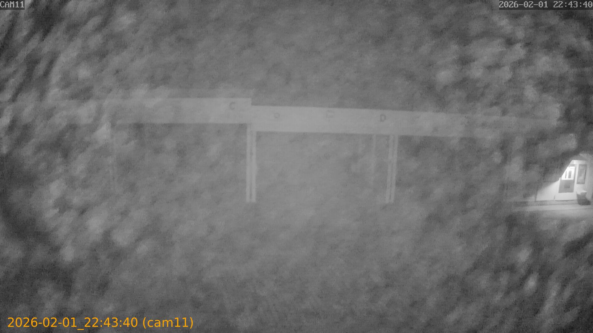 thumbnail_20260201224340