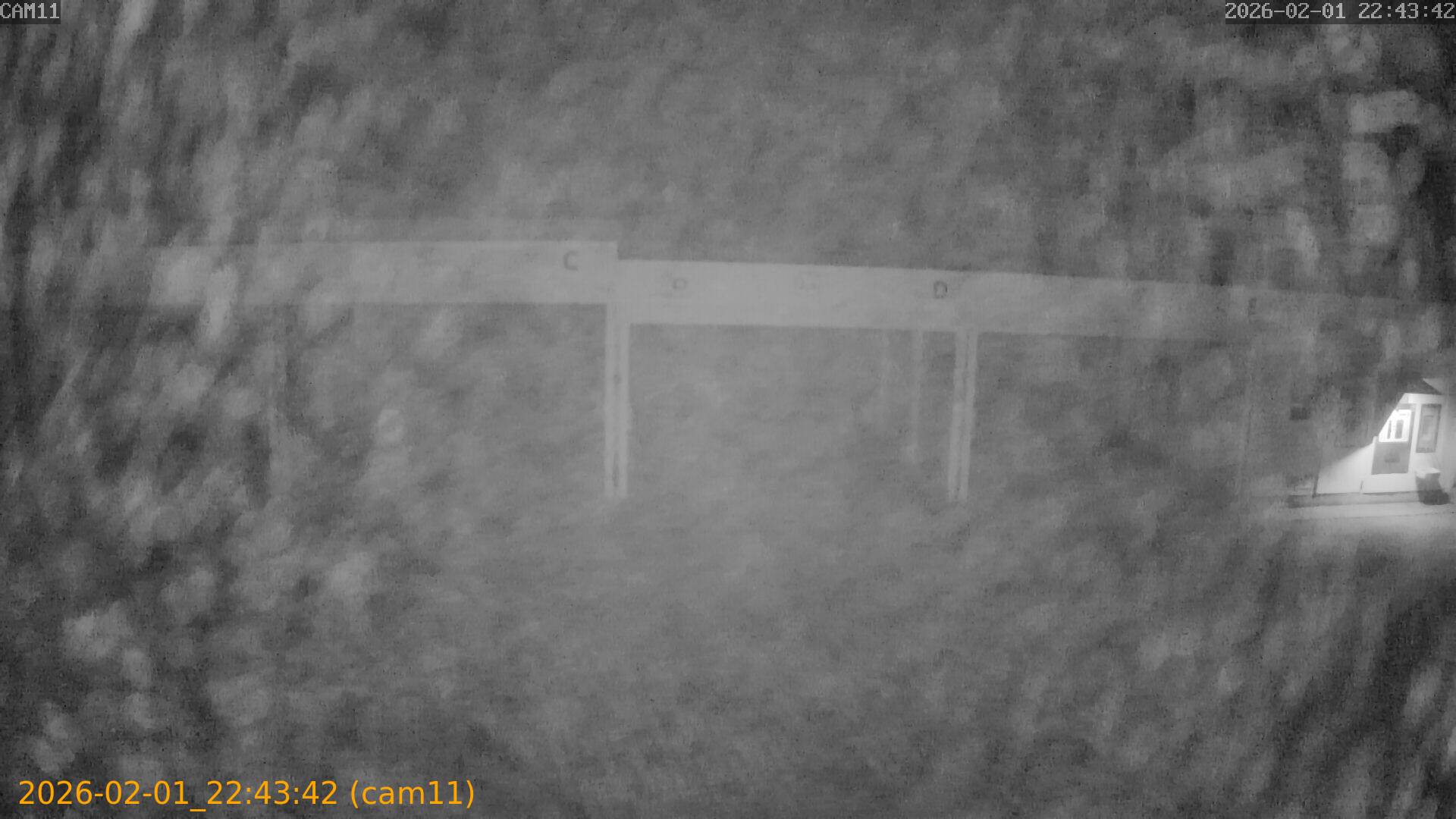 thumbnail_20260201224342