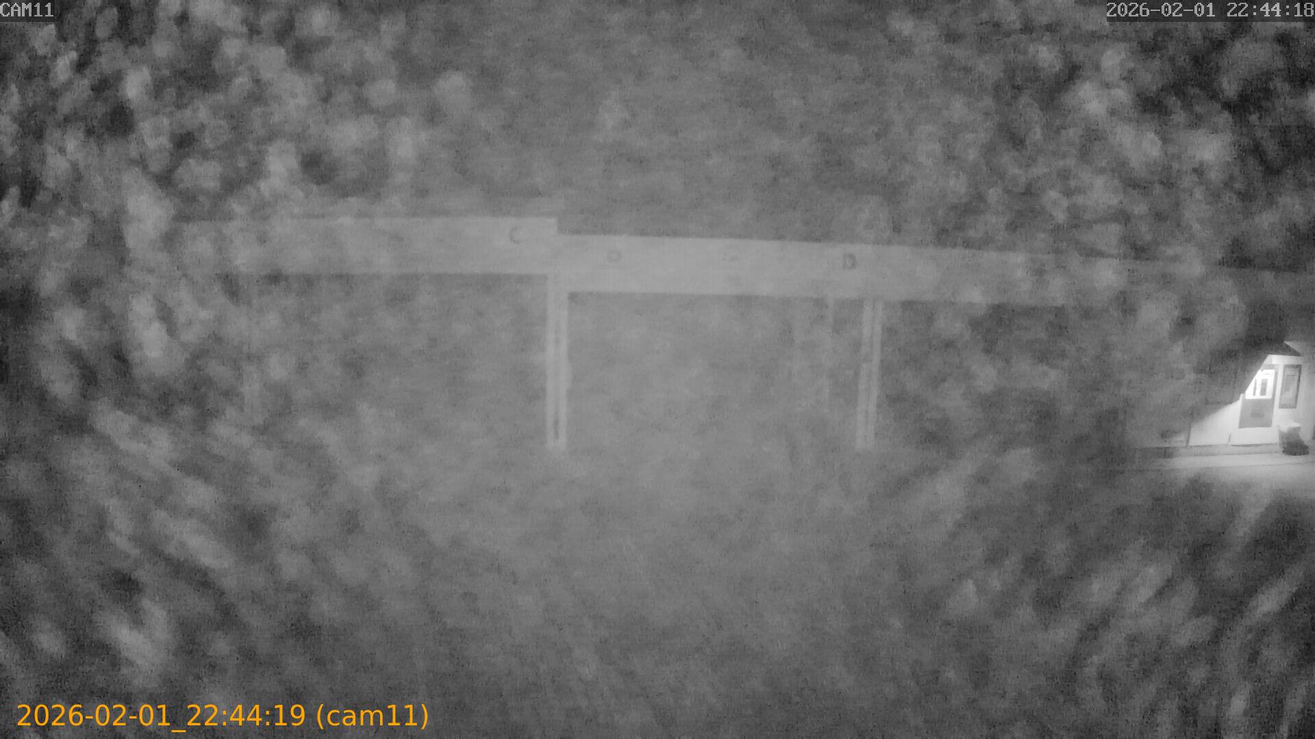 thumbnail_20260201224419