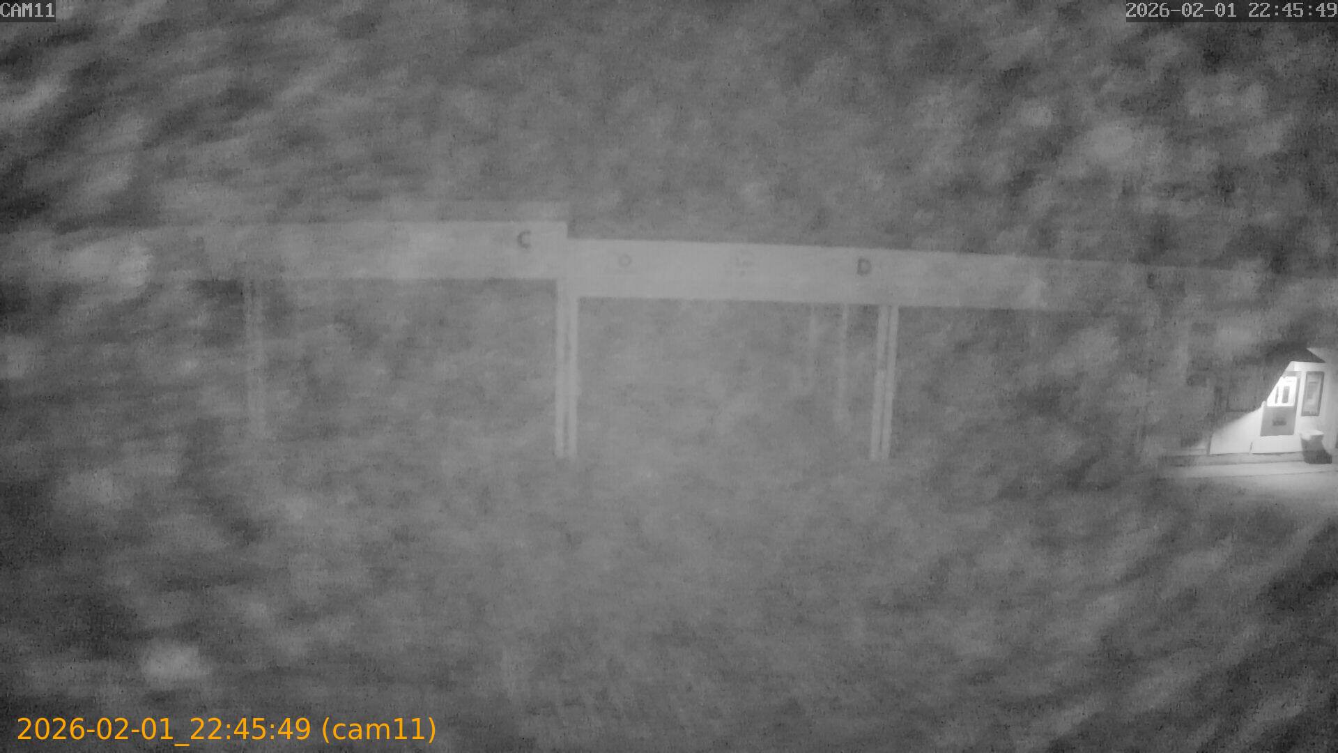 thumbnail_20260201224549