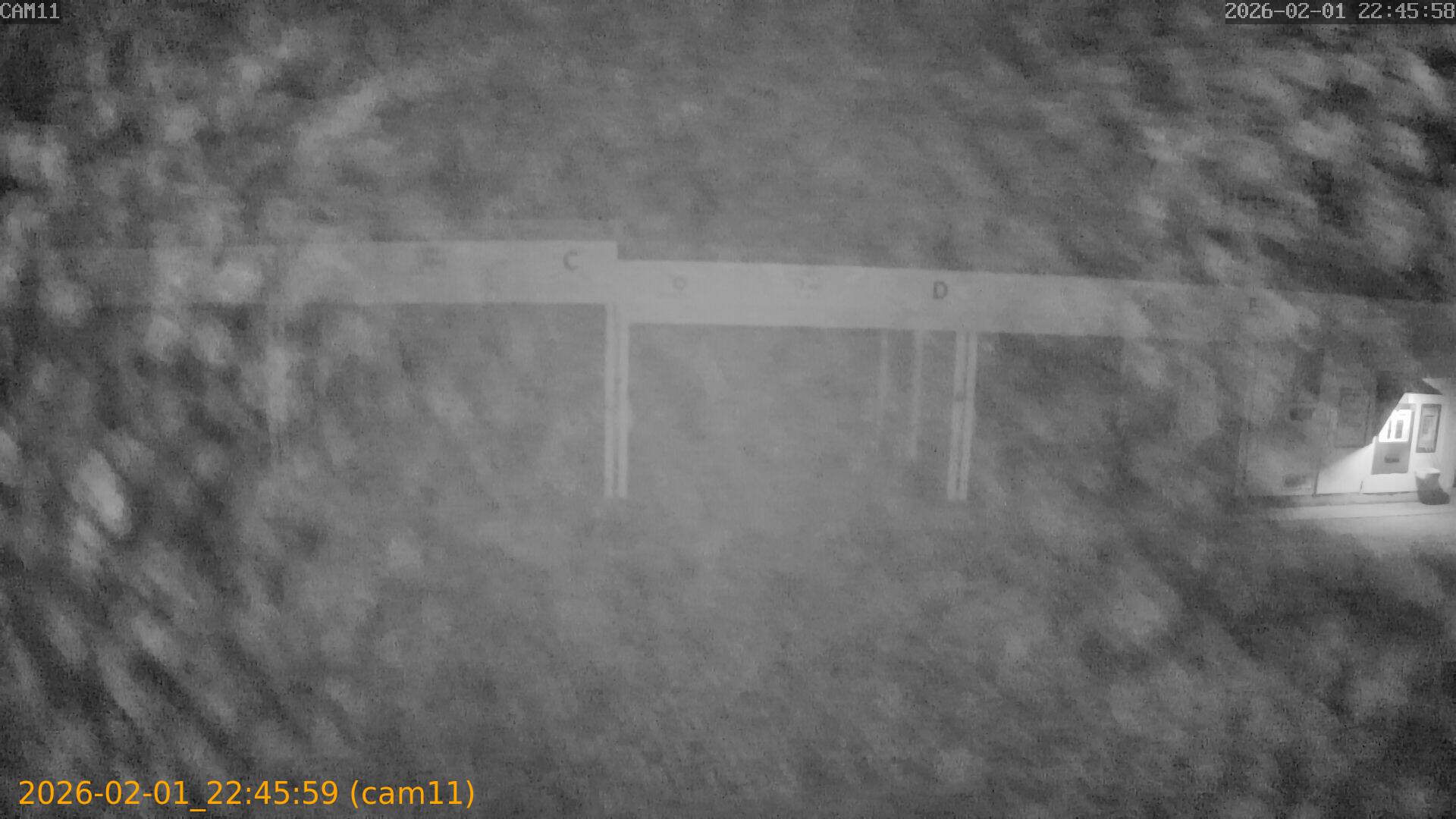 thumbnail_20260201224559