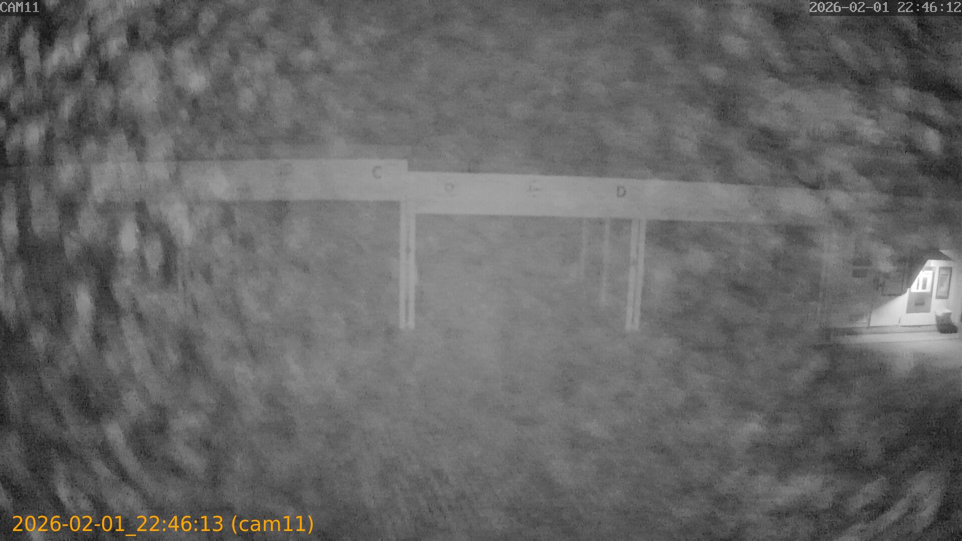 thumbnail_20260201224613