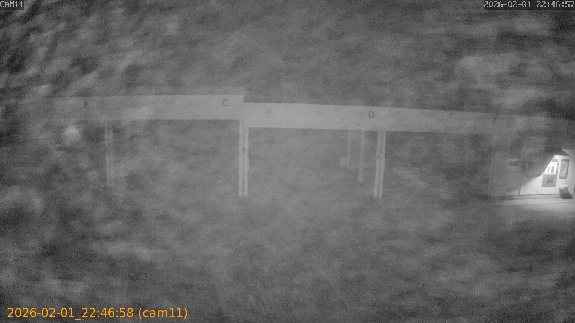 thumbnail_20260201224658