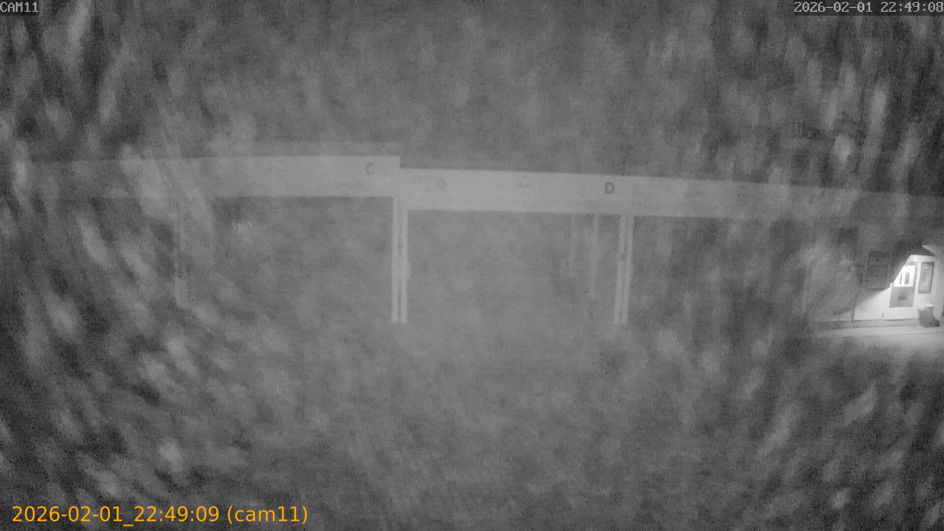 thumbnail_20260201224909