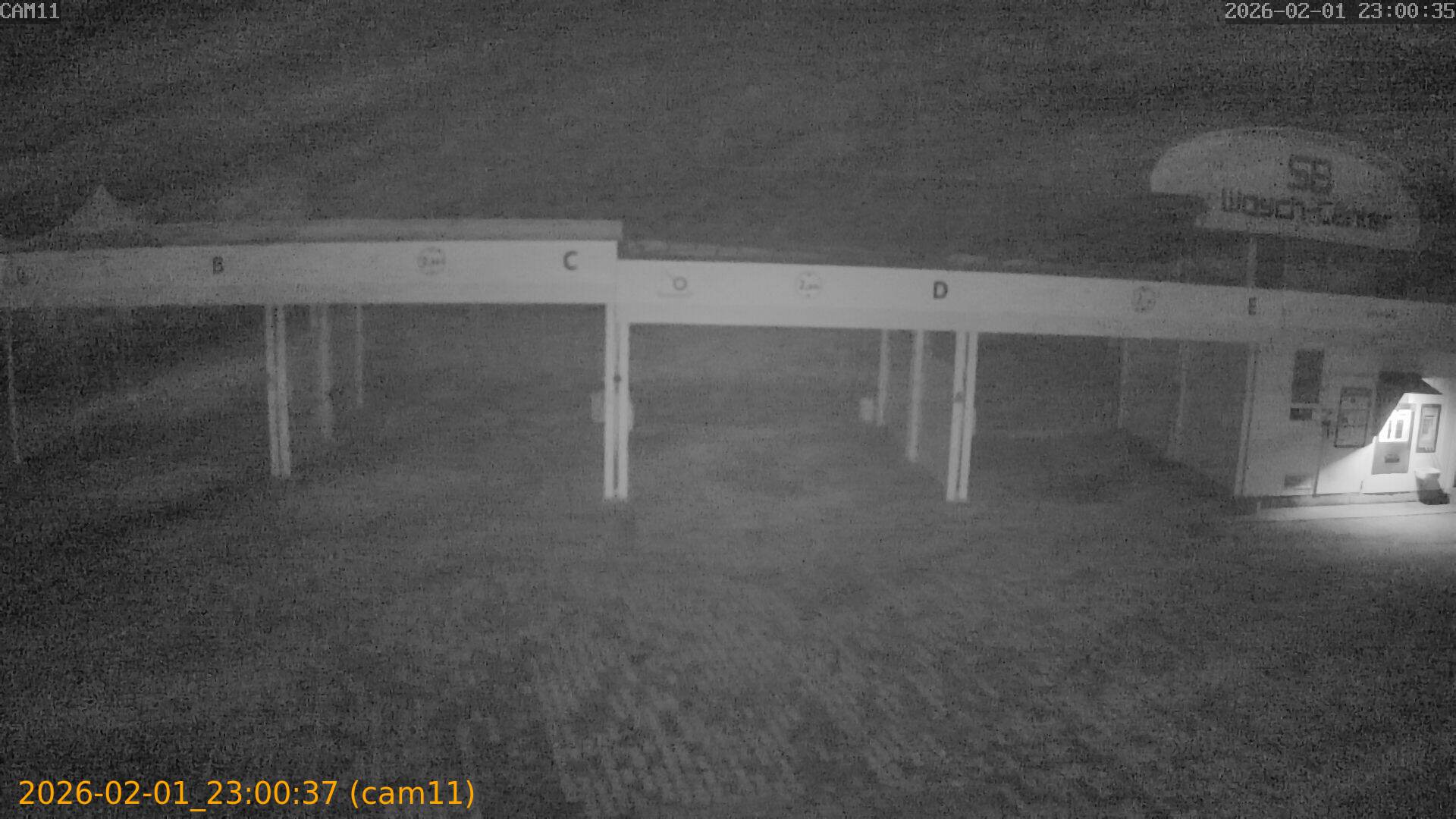 thumbnail_20260201230037