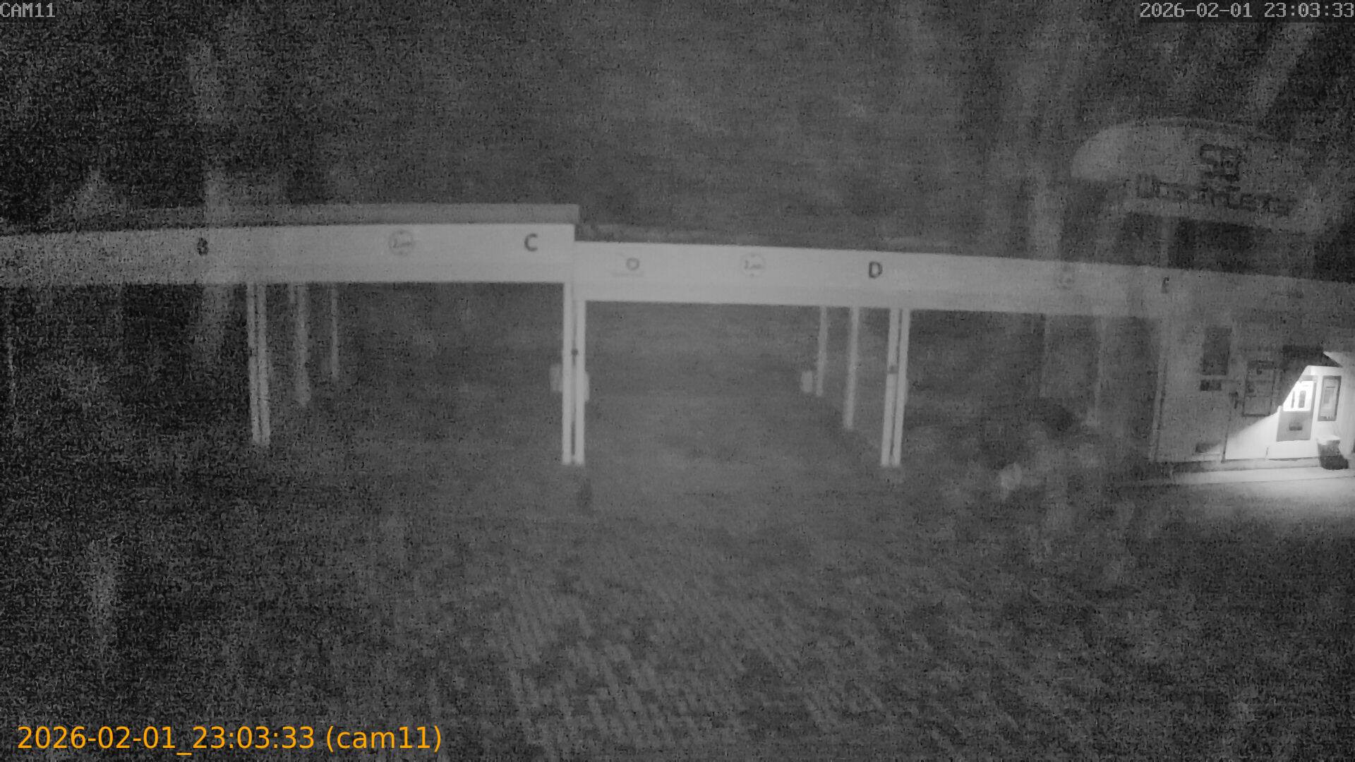 thumbnail_20260201230333