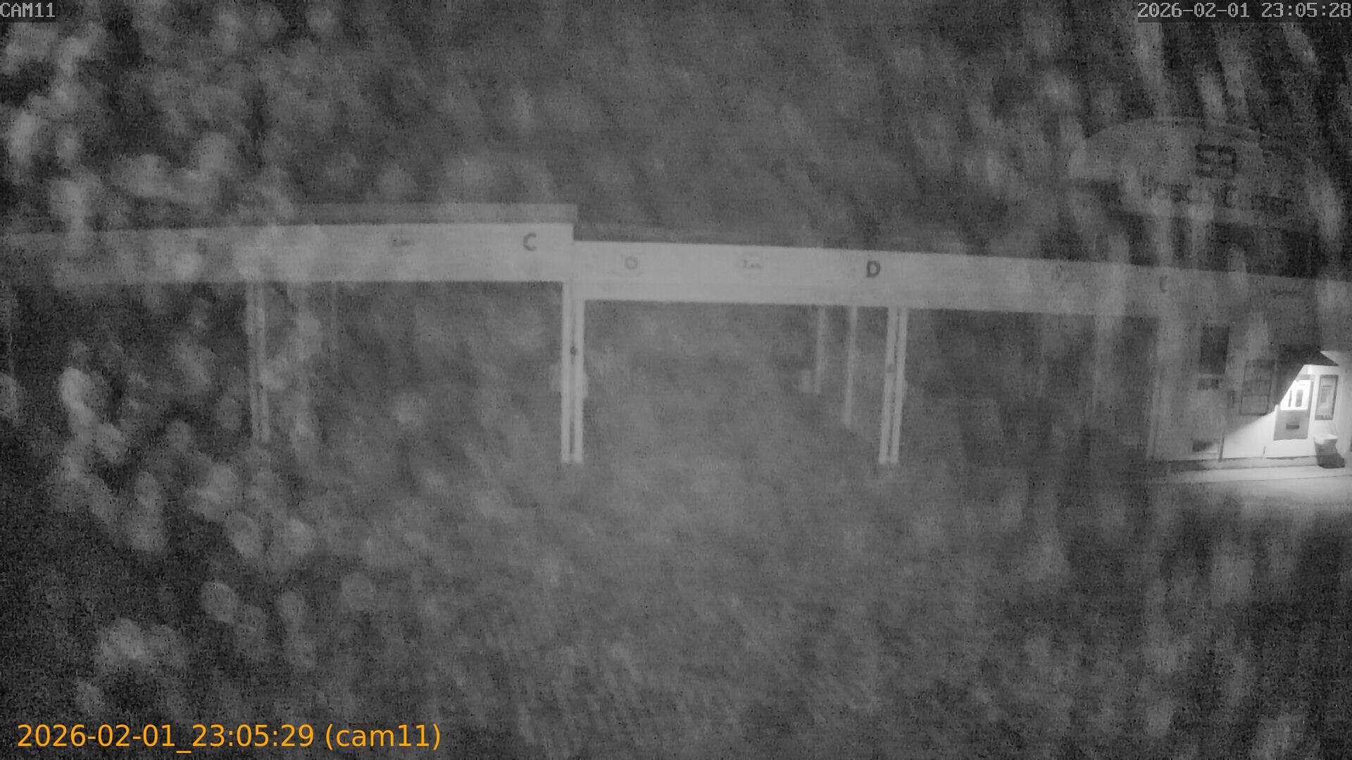 thumbnail_20260201230529