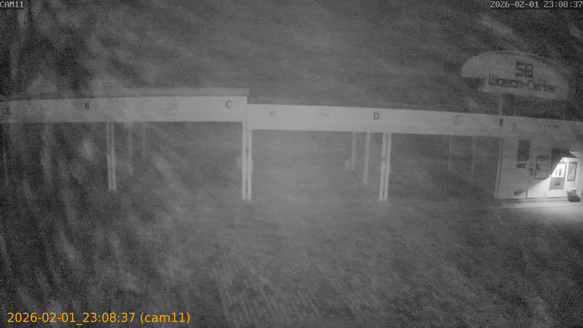 thumbnail_20260201230837