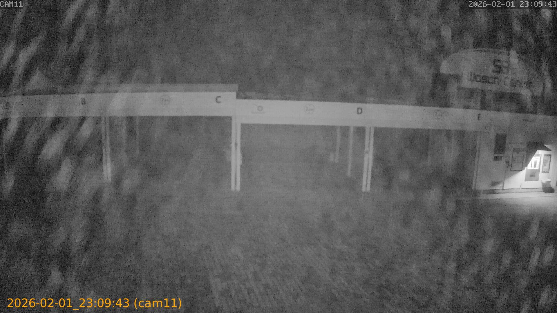 thumbnail_20260201230943