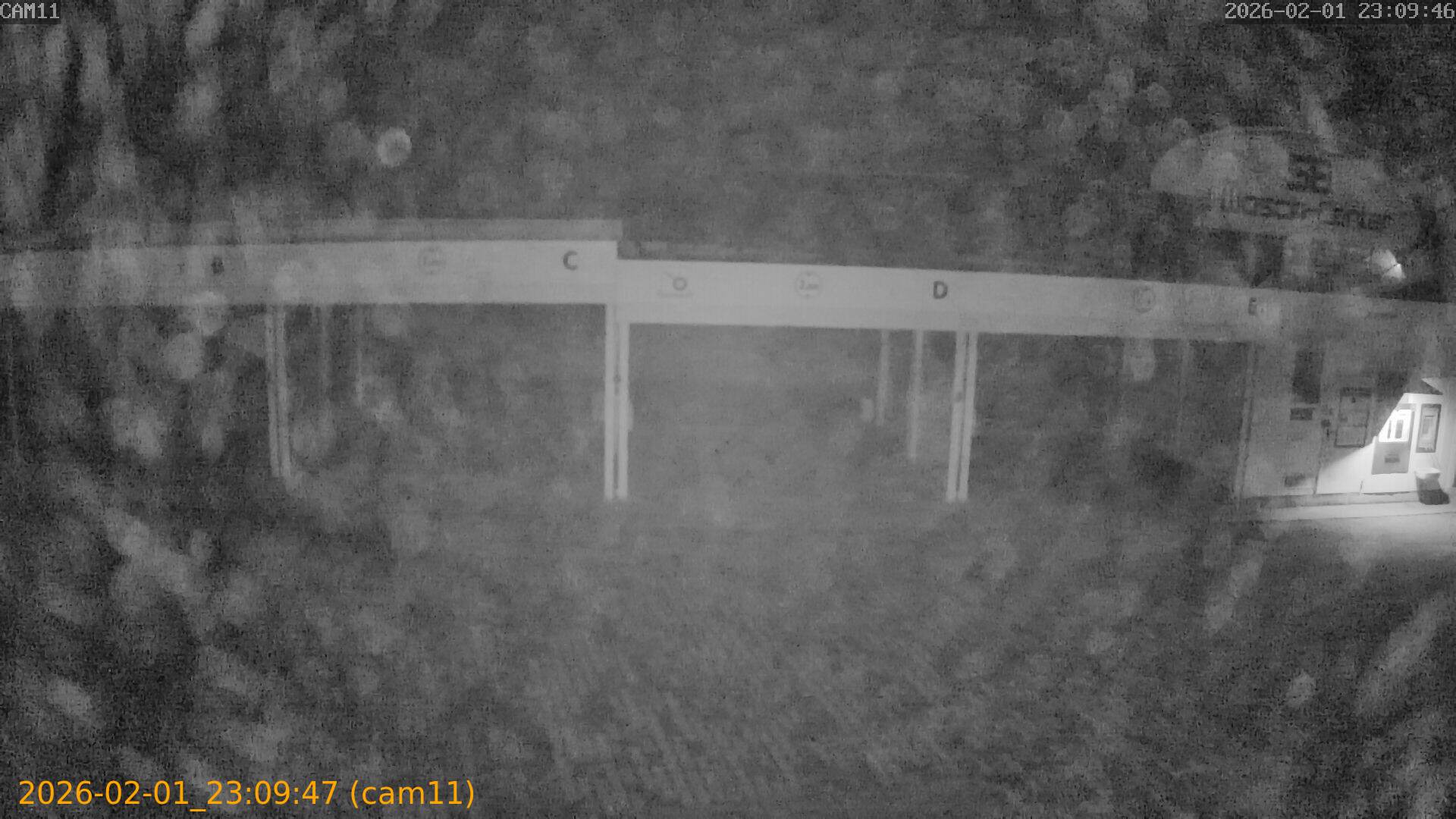 thumbnail_20260201230947