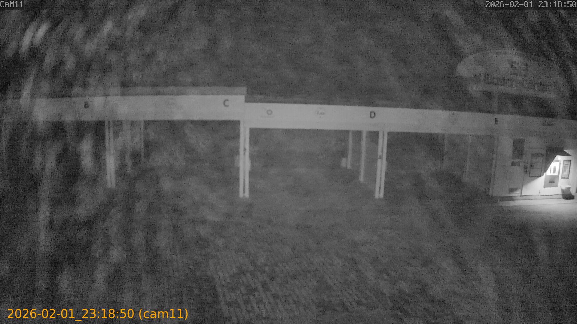 thumbnail_20260201231850