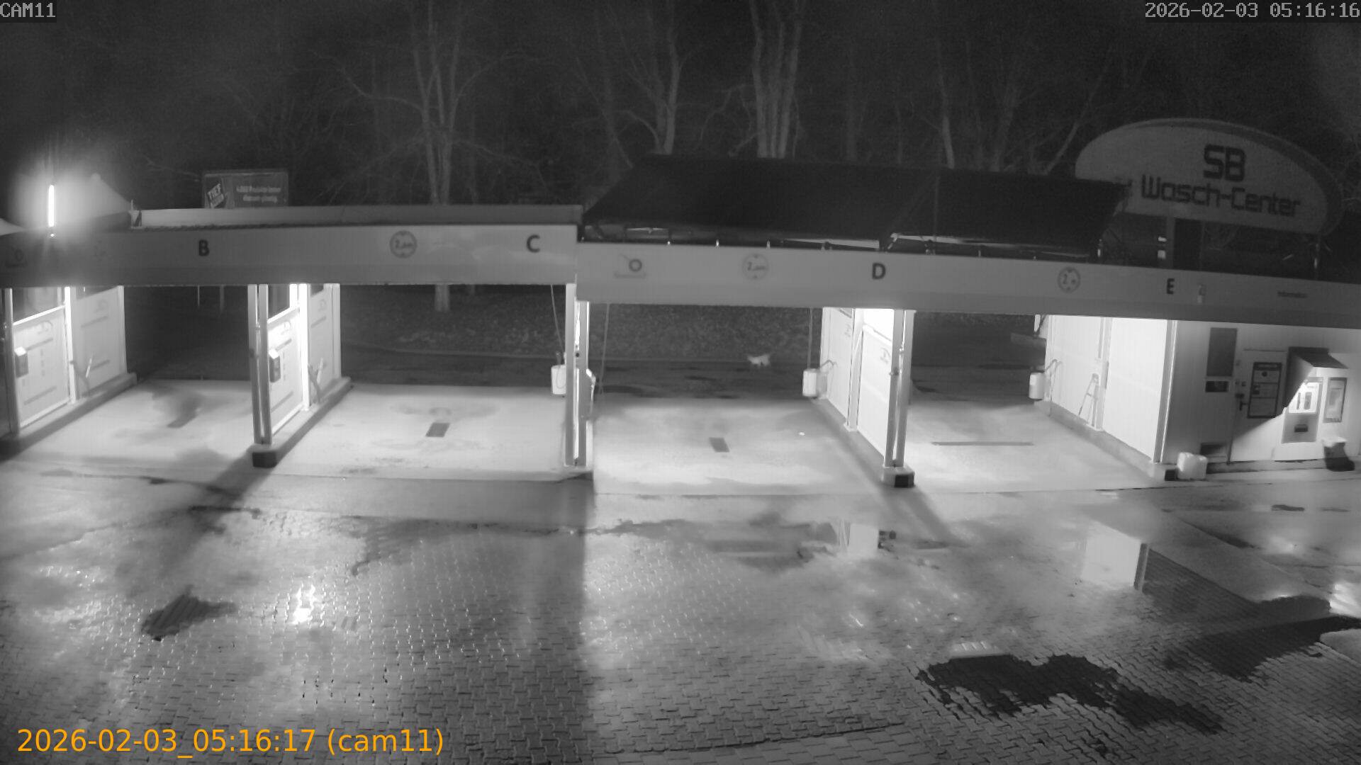 thumbnail_20260203051617