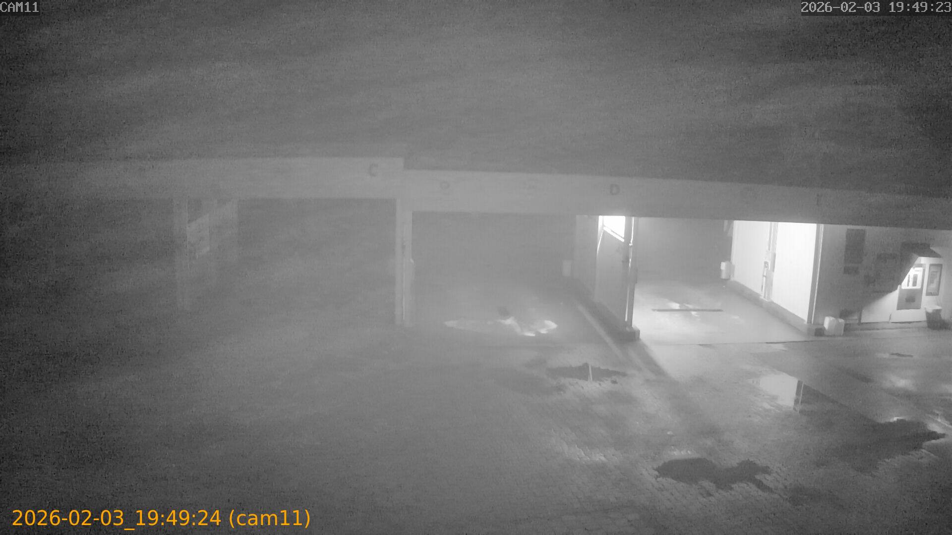 thumbnail_20260203194924