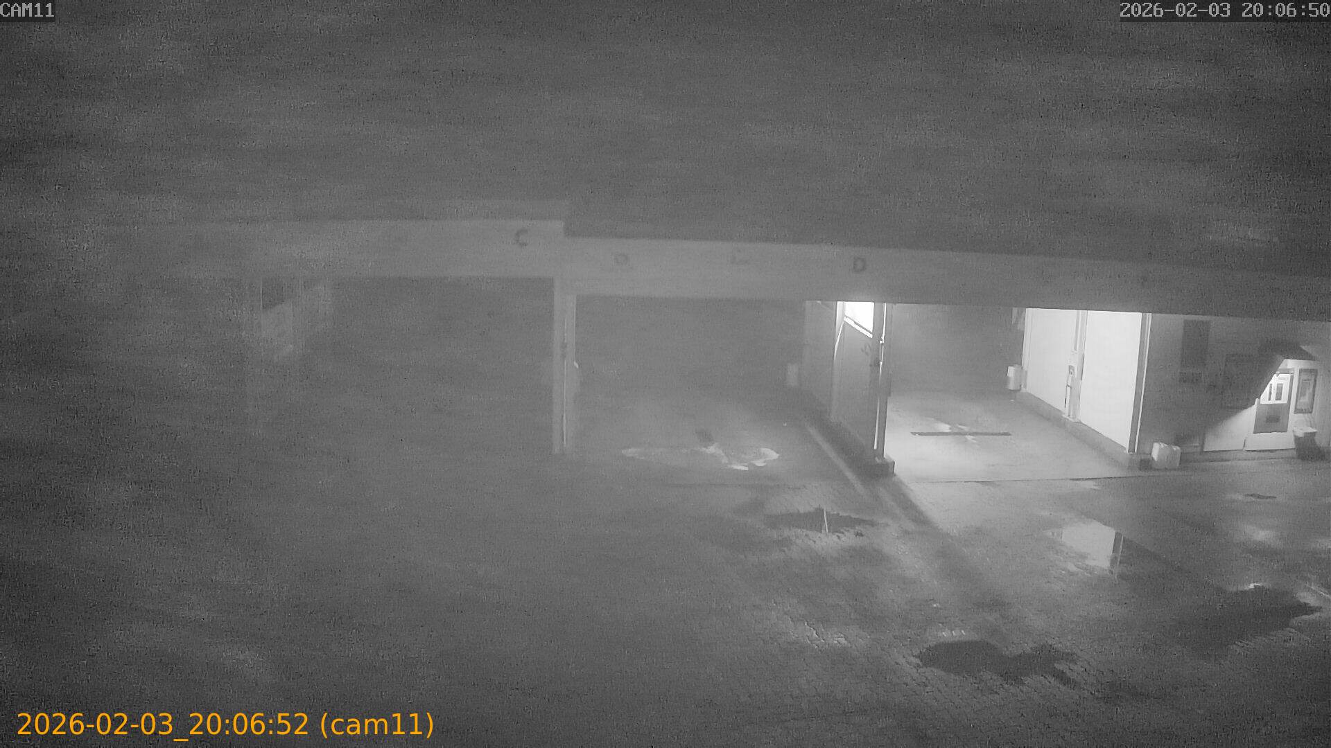 thumbnail_20260203200652