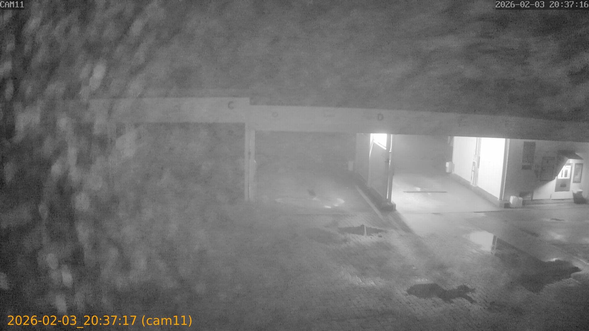 thumbnail_20260203203717