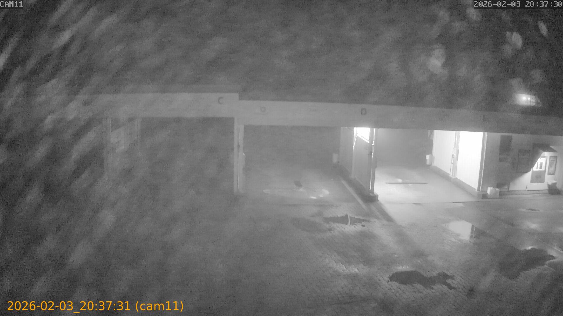 thumbnail_20260203203731