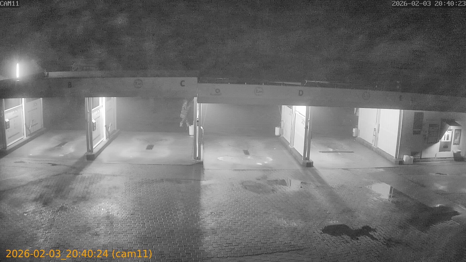 thumbnail_20260203204024