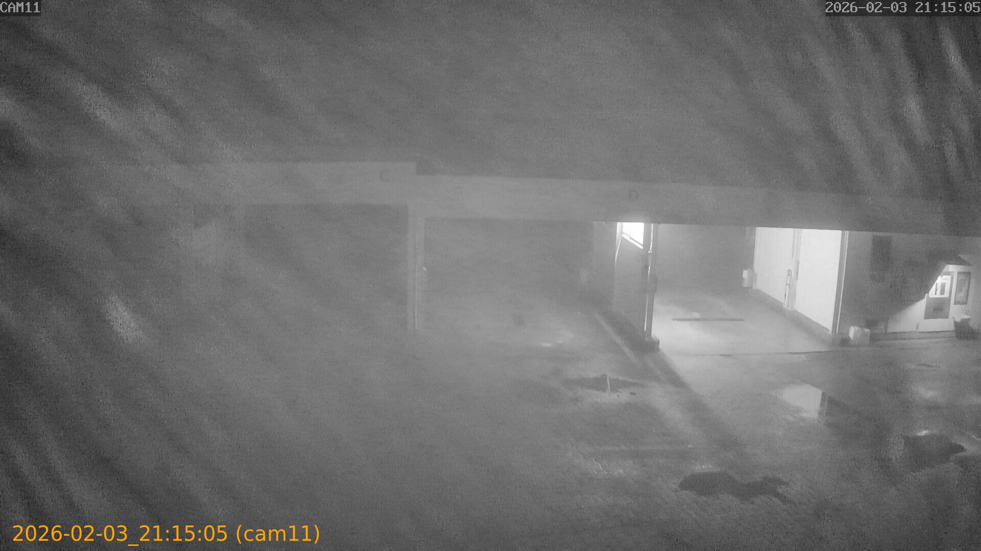 thumbnail_20260203211505