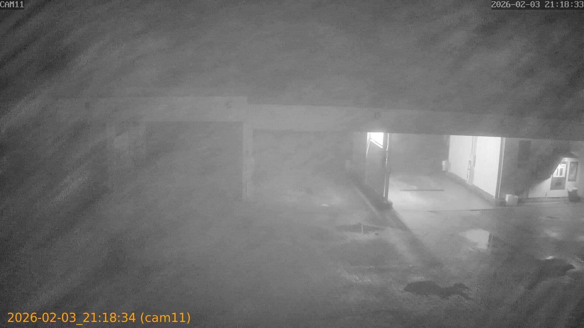 thumbnail_20260203211834