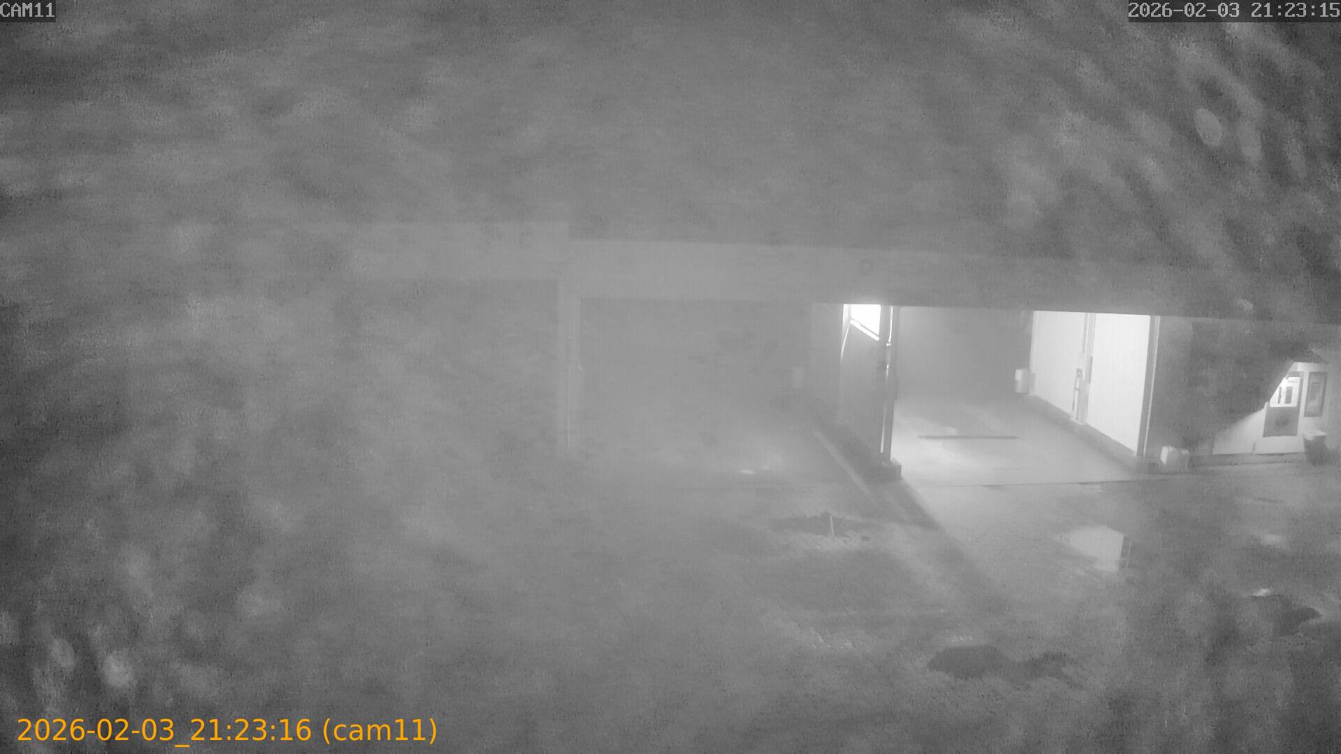 thumbnail_20260203212316