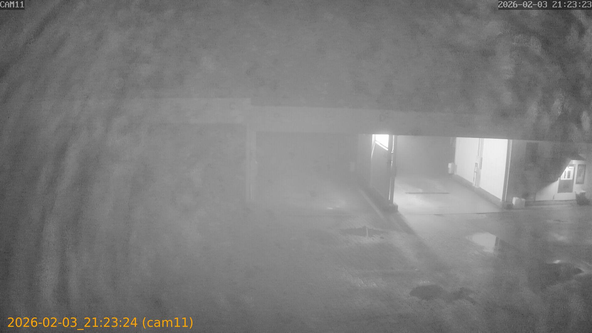 thumbnail_20260203212324