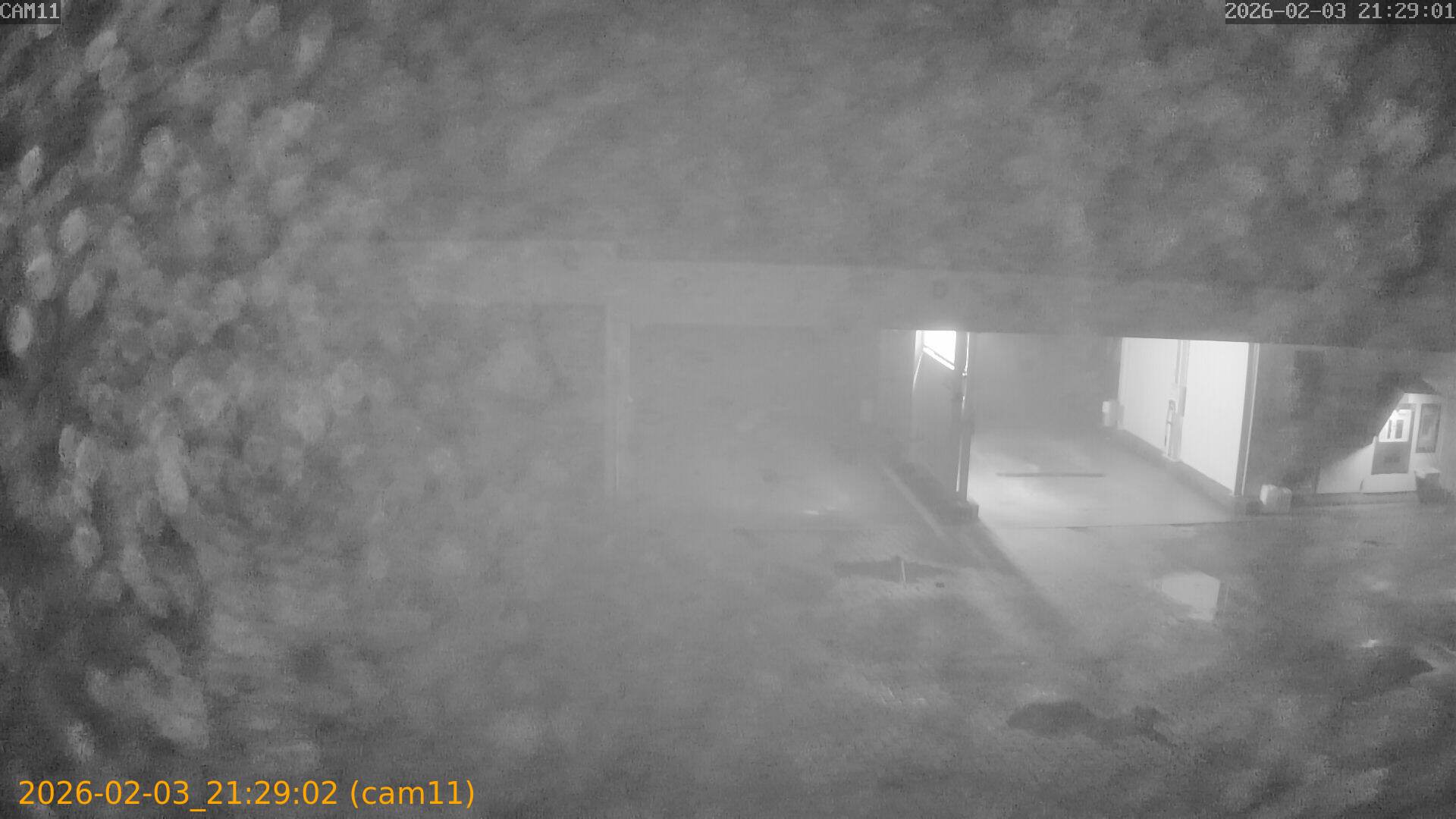 thumbnail_20260203212902