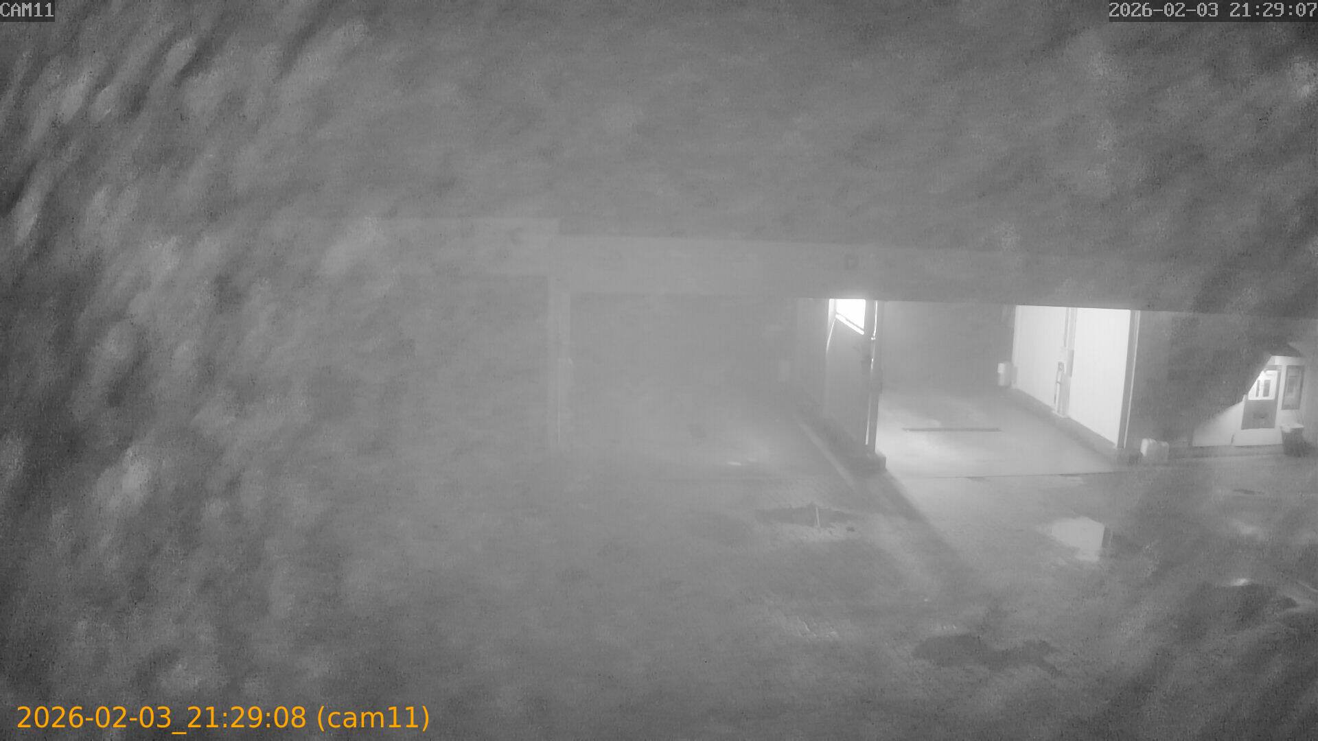 thumbnail_20260203212908