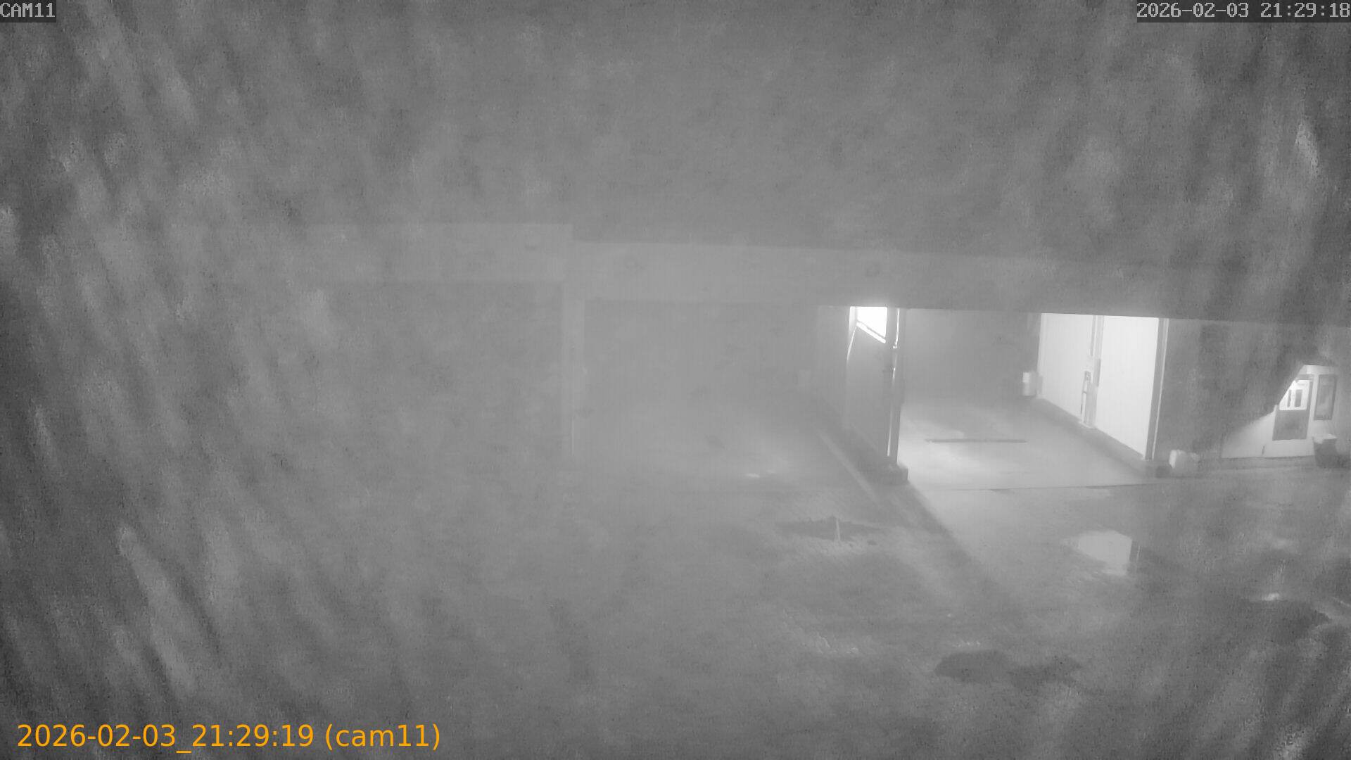 thumbnail_20260203212919