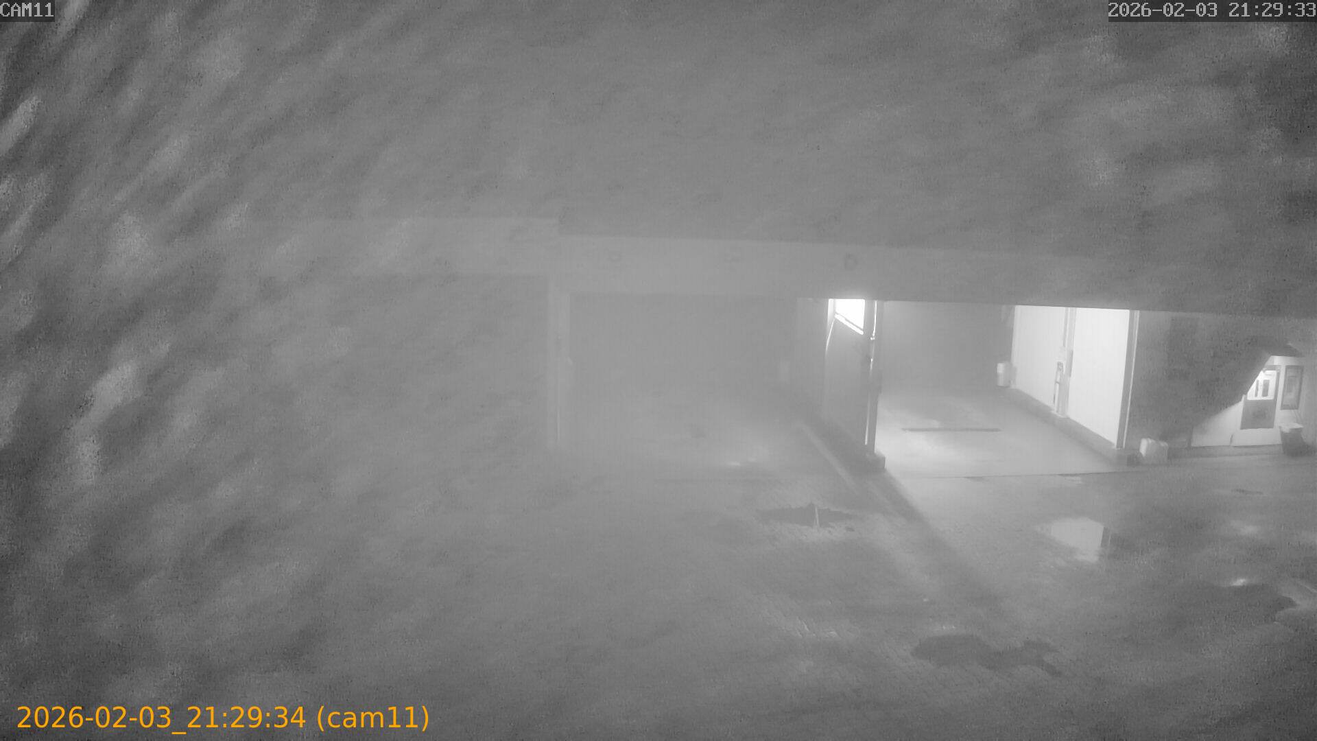 thumbnail_20260203212934